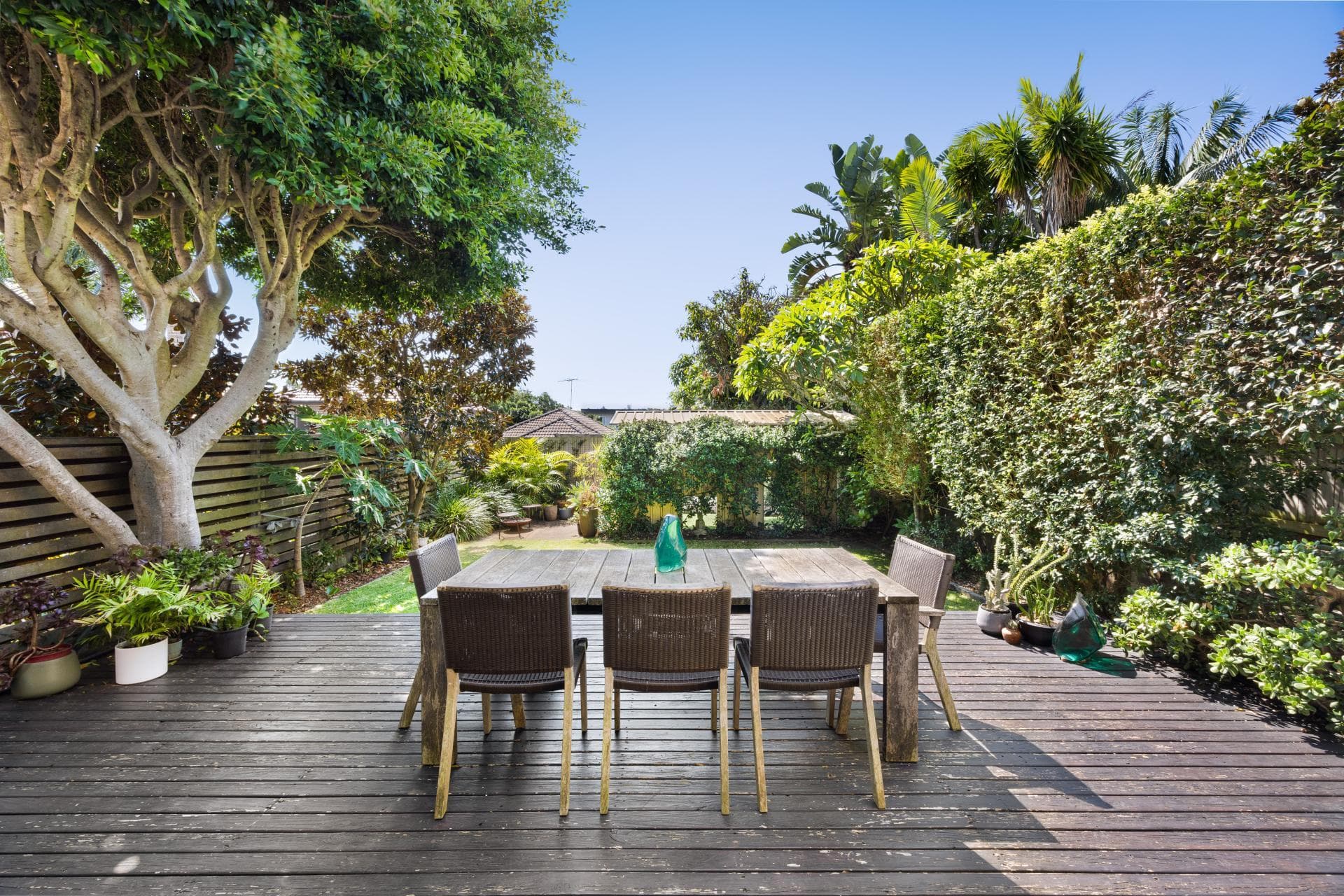 68 Gilgandra Road, North Bondi, North Bondi - Thumbnail 3