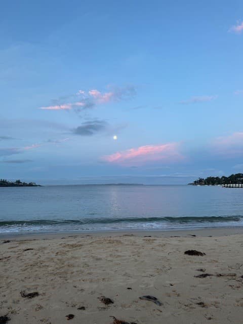 30 Bournemouth  Street, Bundeena, Bundeena - Image 1