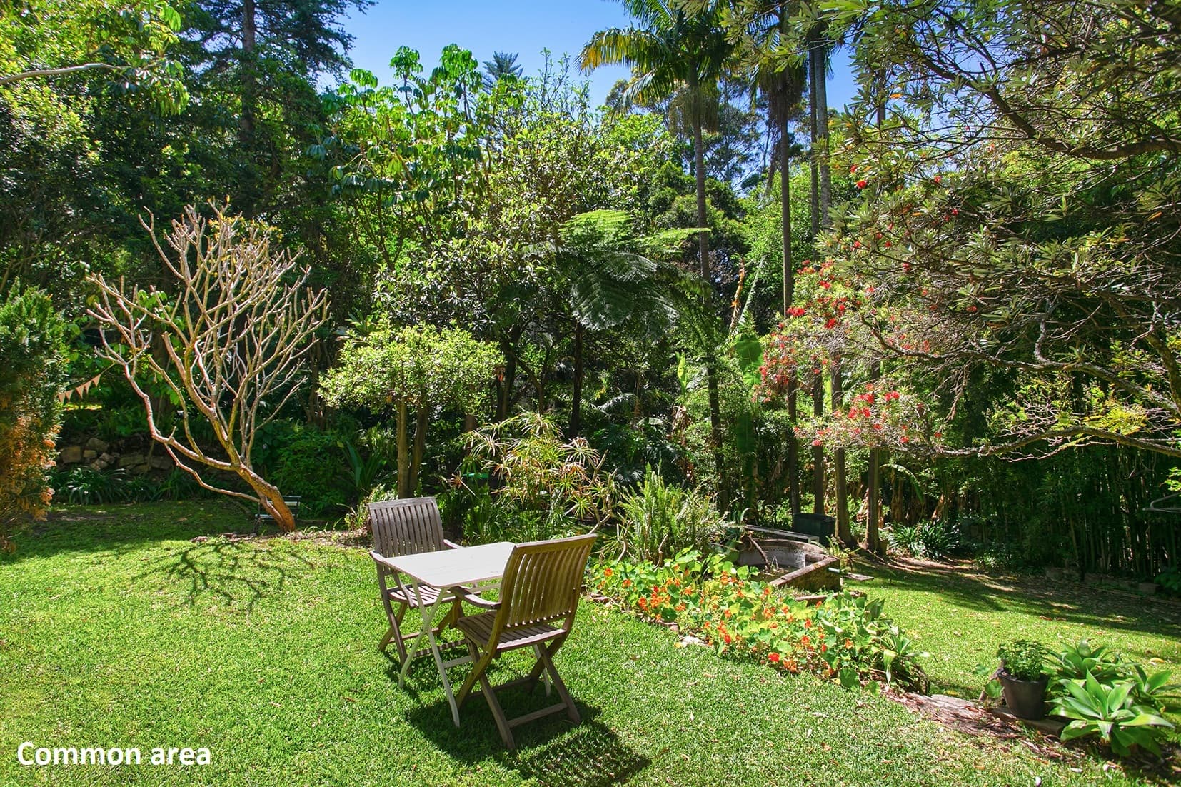 E1/295 Edgecliff Road, Woollahra, Woollahra - Thumbnail 3