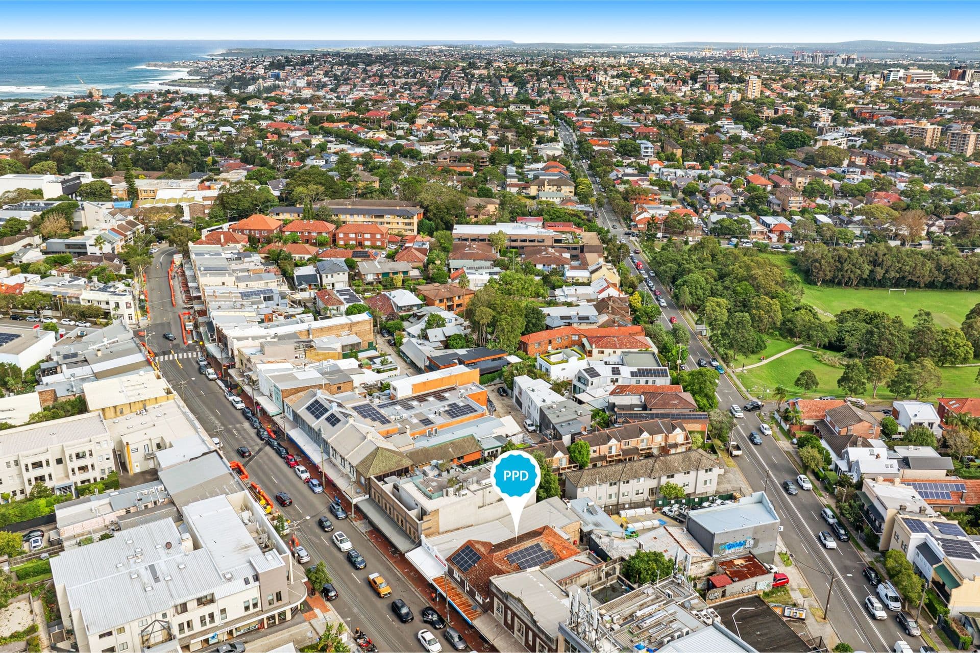 229 Bronte Road, Waverley, Waverley - Thumbnail 6