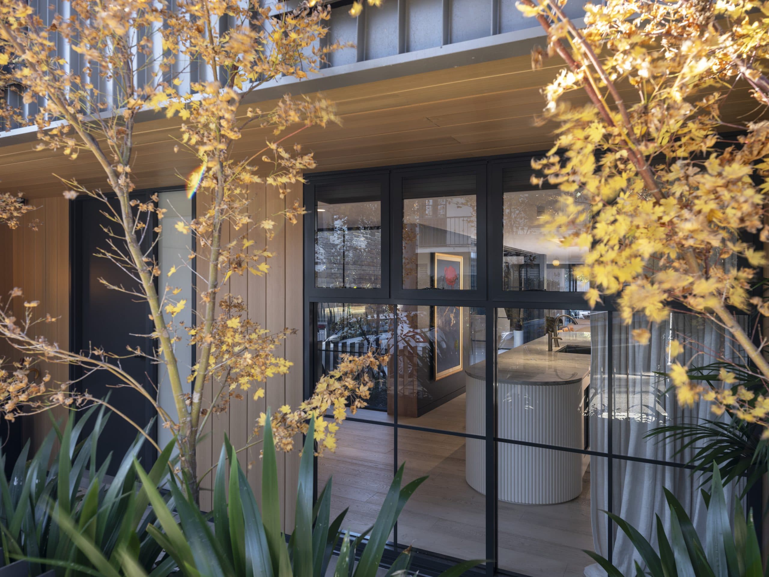 35 Cameron Street, Edgecliff - Thumbnail 2