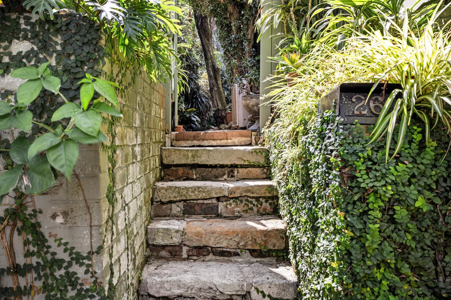 26 Harris Street, Paddington, Paddington - Thumbnail 5