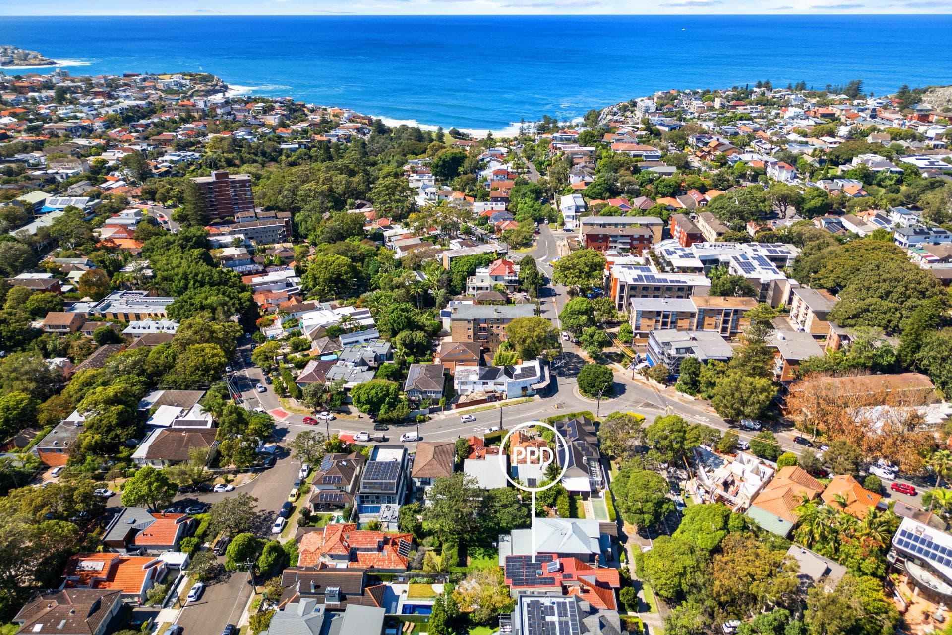 28 Gipps Street, Bronte, Bronte - Thumbnail 8
