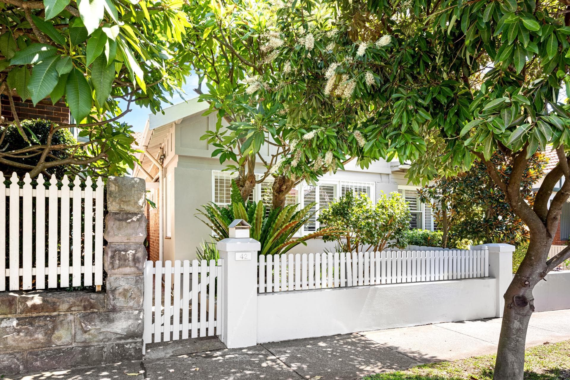 42 Fern Street, Randwick, Randwick - Thumbnail 6