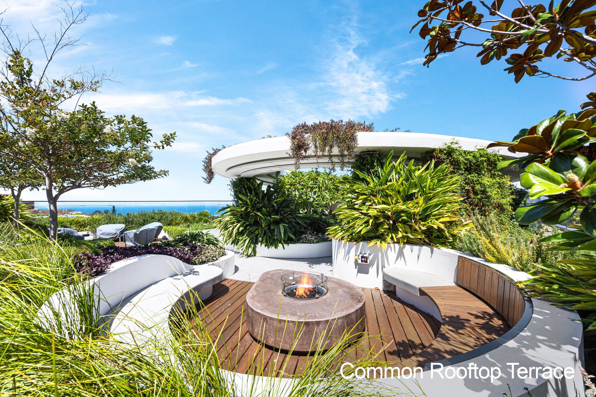 1101/2A Henrietta Street, Waverley, Waverley - Thumbnail 4