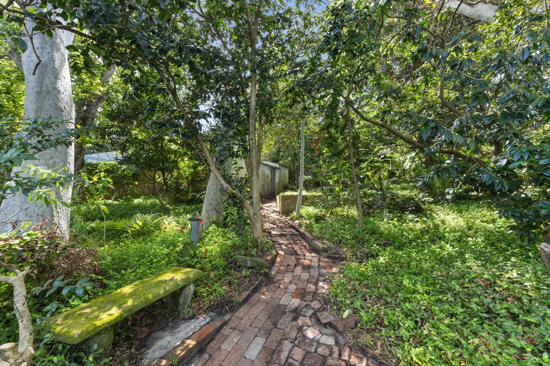 12 Mitchell Road, Rose Bay, Rose Bay - Thumbnail 3