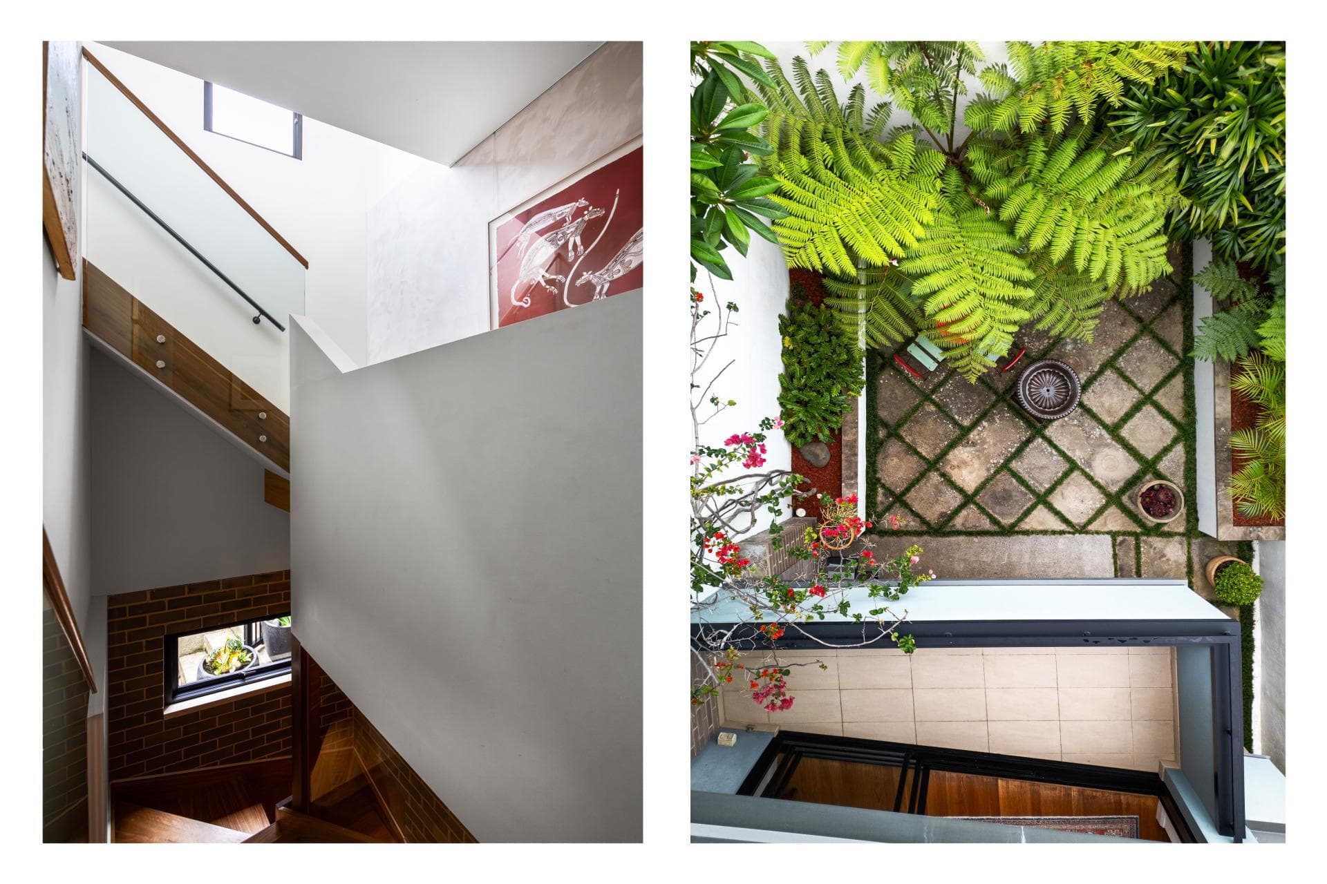 7 Manson Place Clovelly Nsw, Clovelly - Image 1