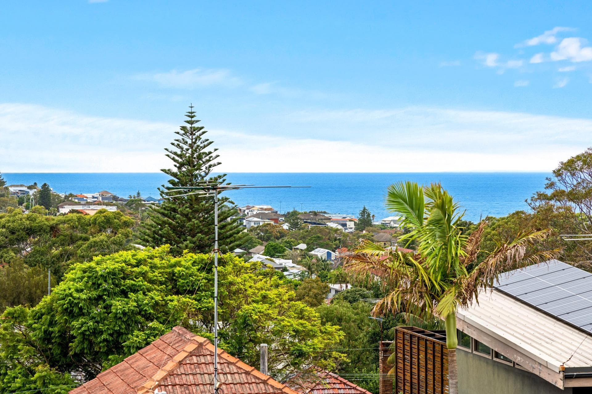 7 Manson Place Clovelly Nsw, Clovelly - Thumbnail 8