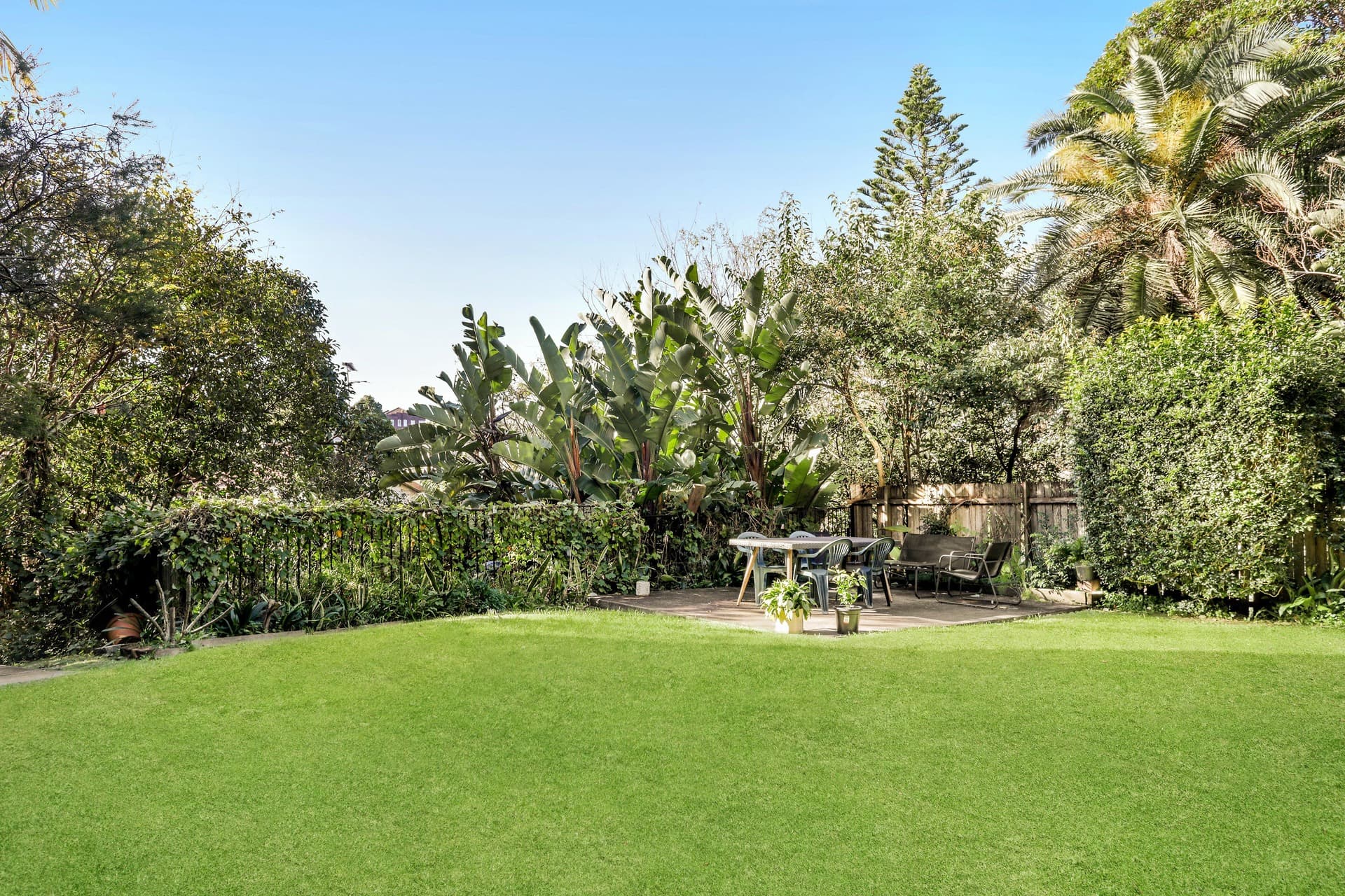3/2 Penkivil Street, Bondi, Bondi - Thumbnail 3