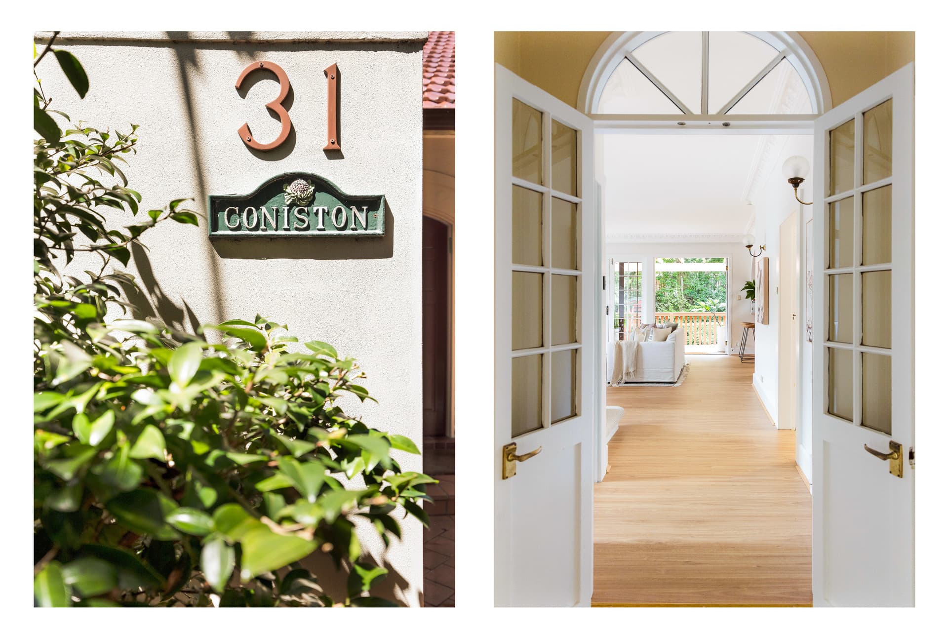 31 Gipps Street, Bronte, Bronte - Thumbnail 2