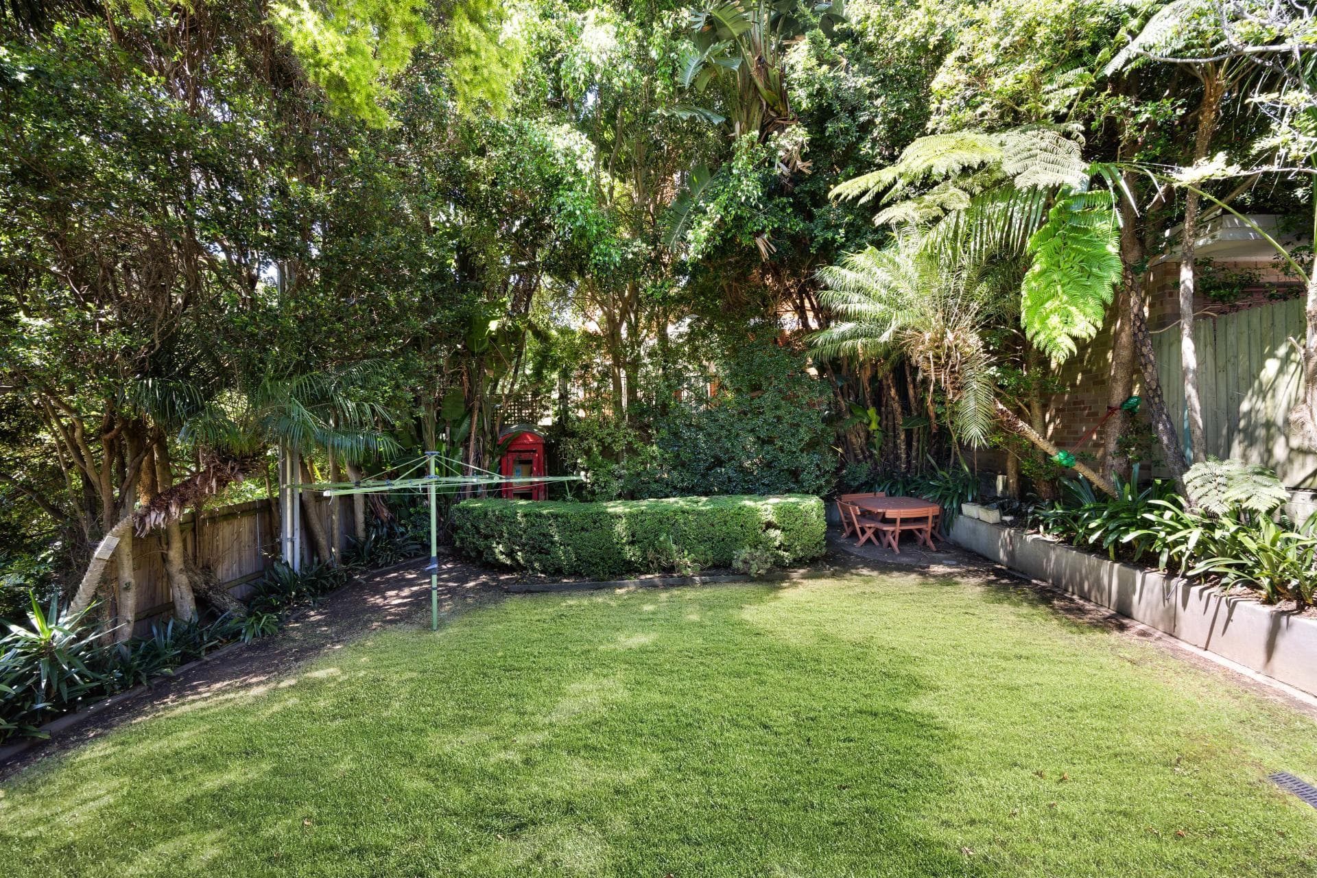 31 Gipps Street, Bronte, Bronte - Thumbnail 8
