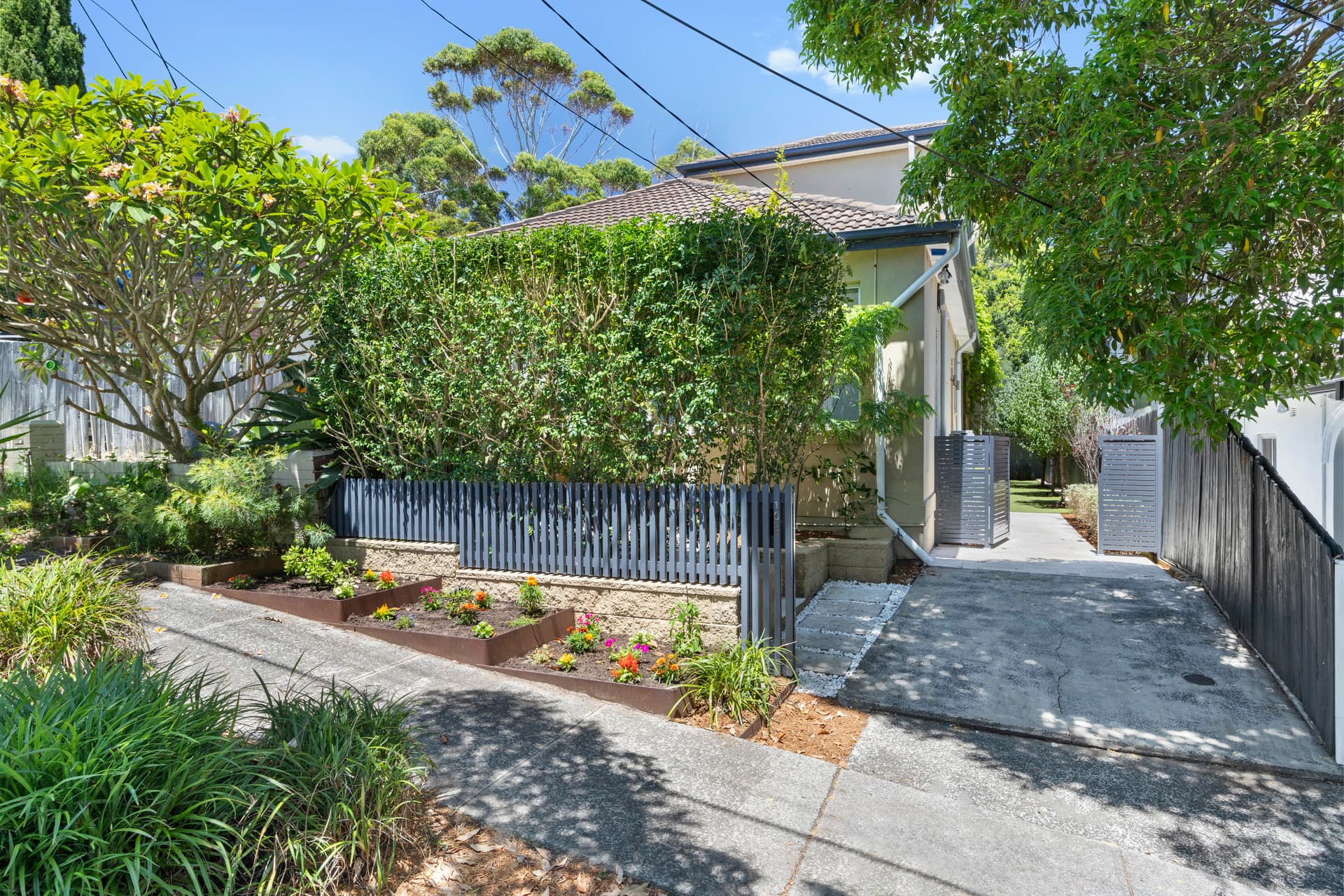 103 Chaleyer Street, Rose Bay, Rose Bay - Thumbnail 6