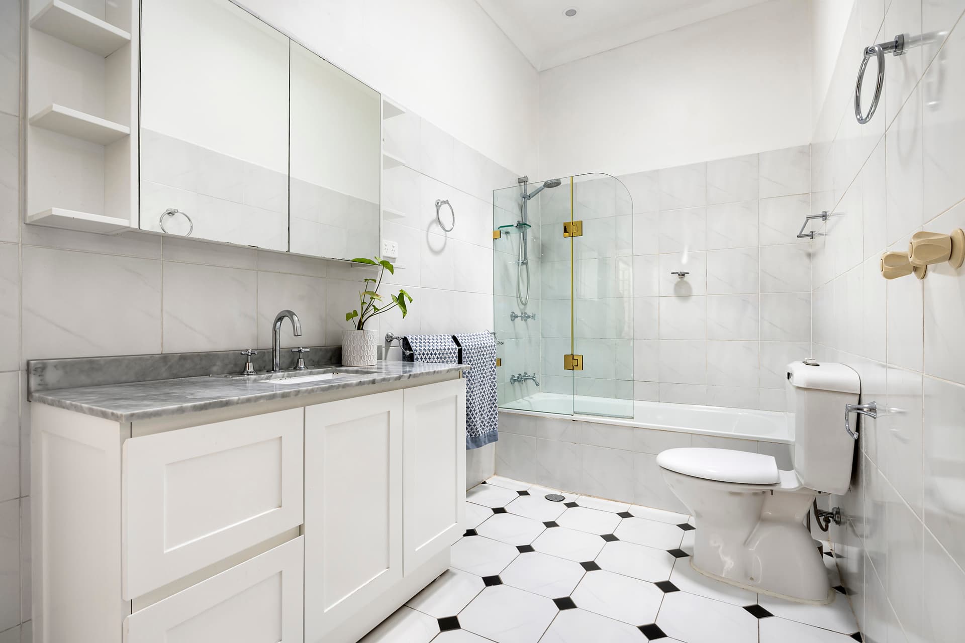 82 Howard Street, Randwick, Randwick - Thumbnail 6