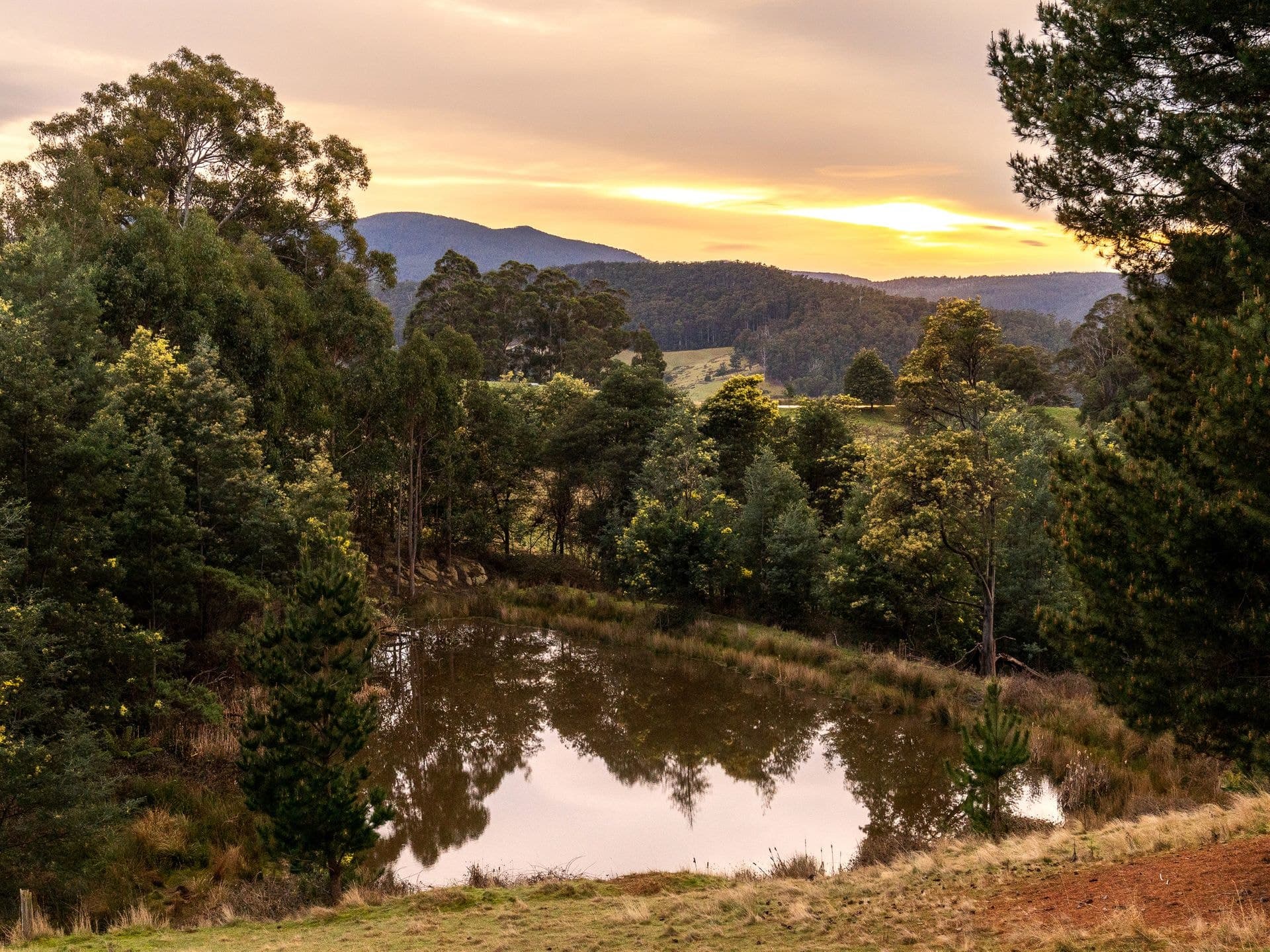 181 Wallace Road, Cygnet, TAS, 7112, Cygnet - Thumbnail 3