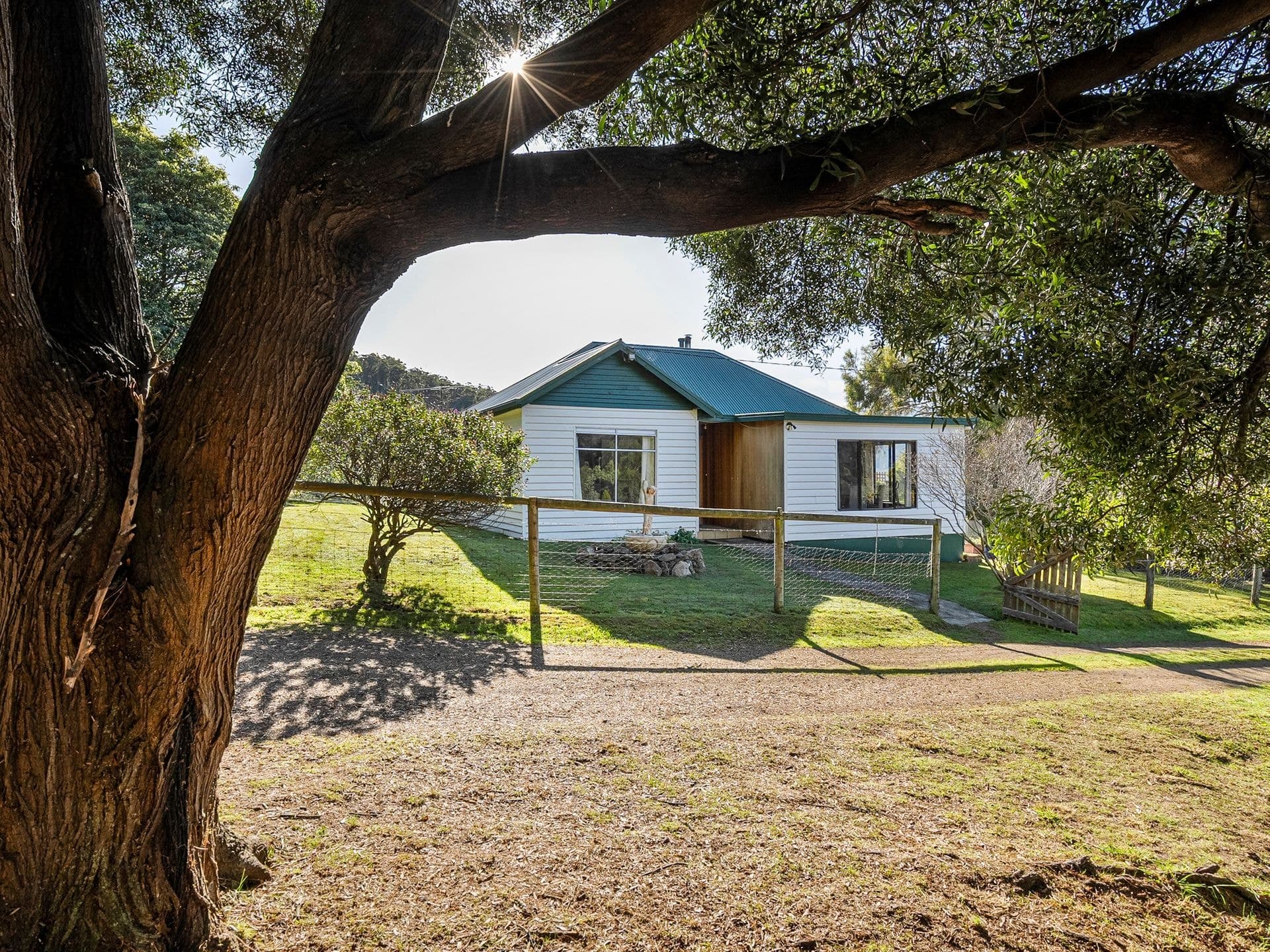 181 Wallace Road, Cygnet, TAS, 7112, Cygnet - Thumbnail 4