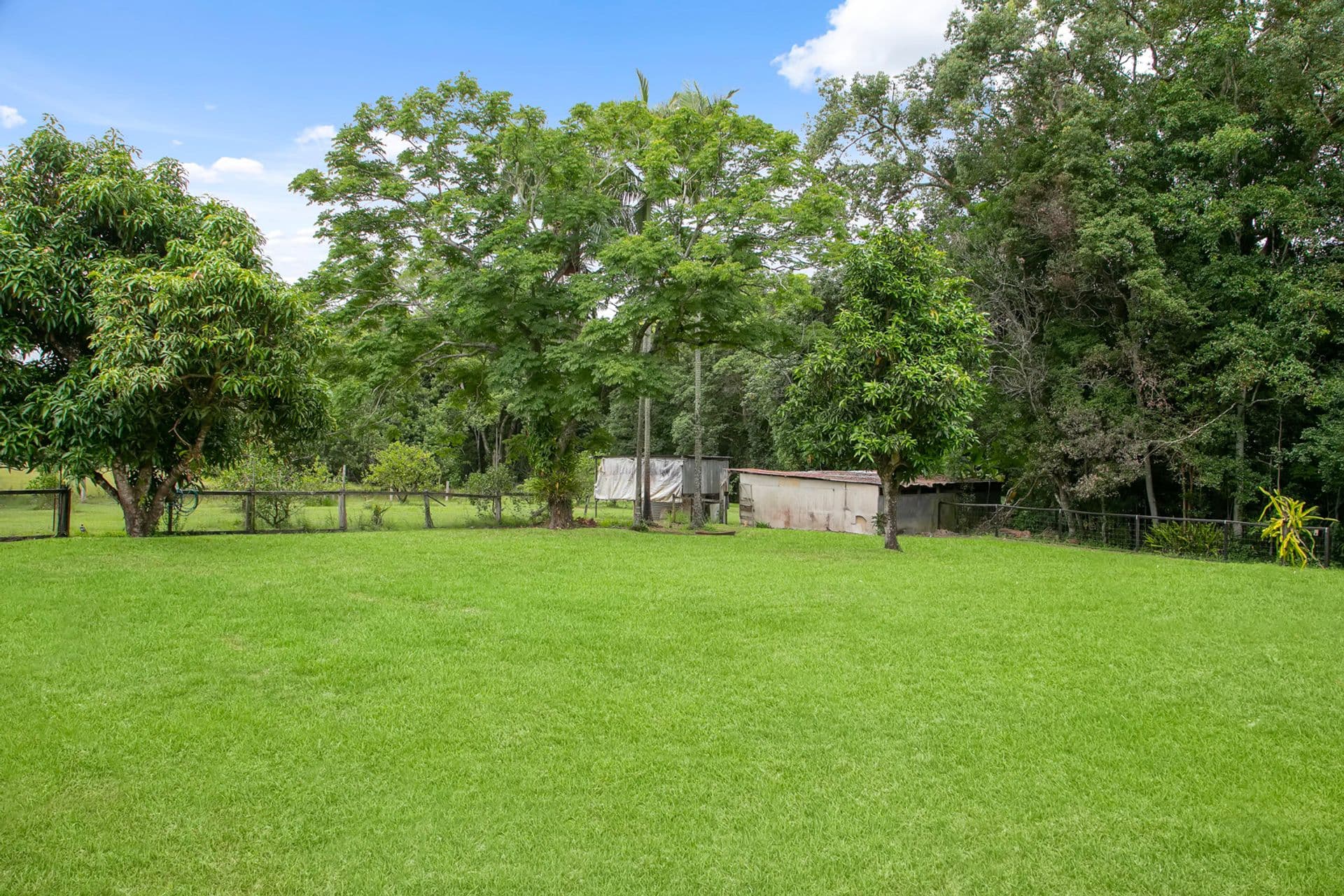 5 Hunchy Road, Palmwoods, QLD, 4555, Palmwoods - Thumbnail 5