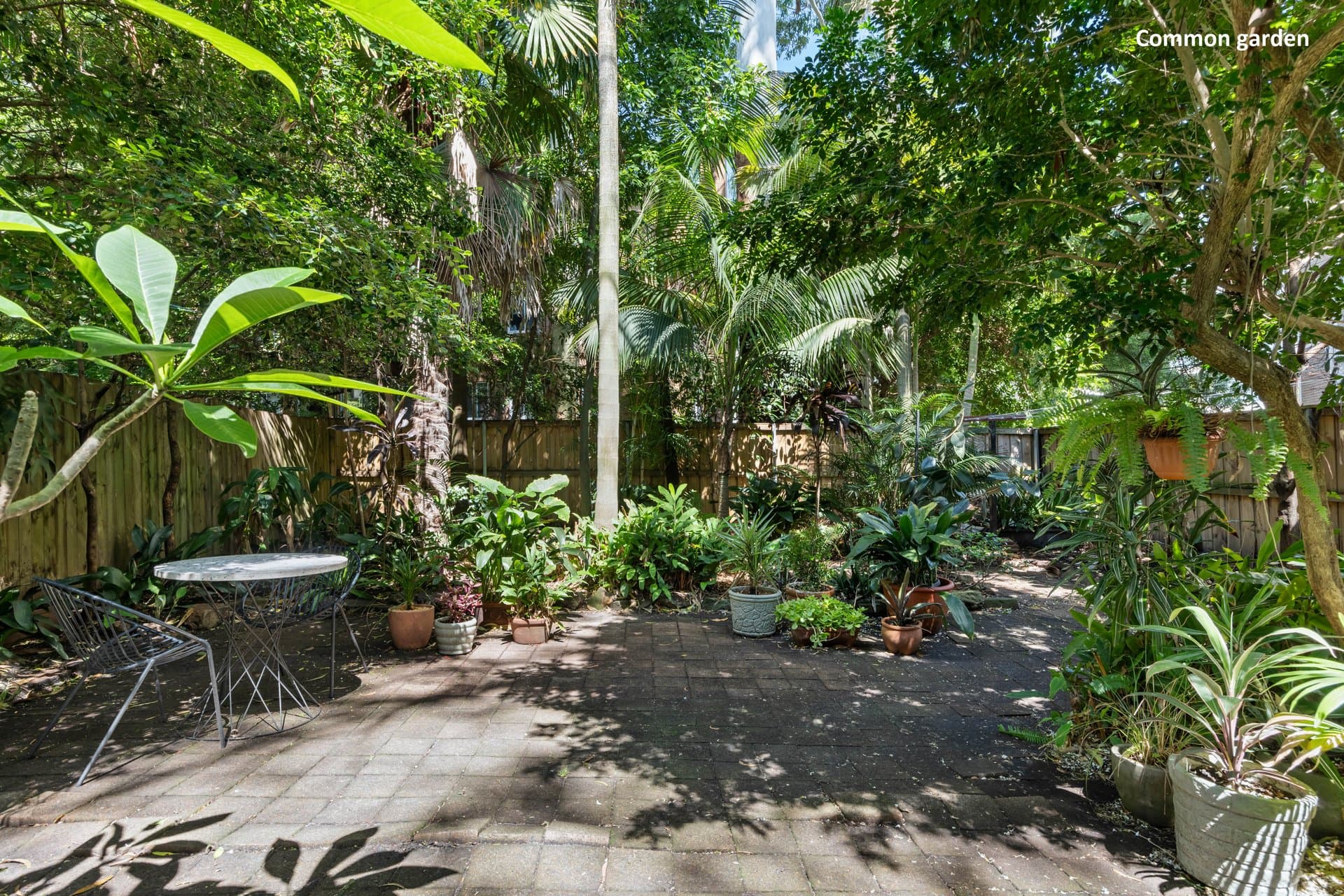 4/1 Bates  Avenue, Paddington, Paddington - Thumbnail 4