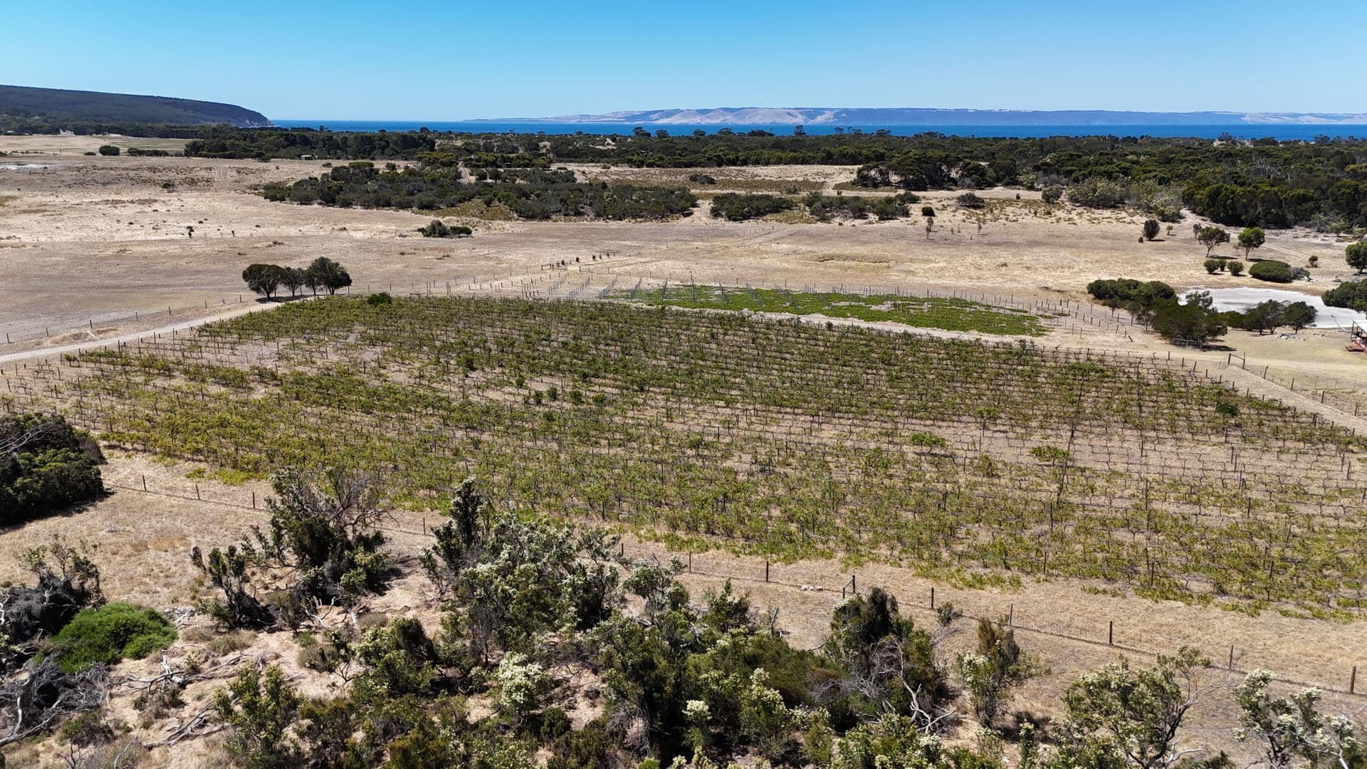 Lot 21 Cape Willoughby Road, Antechamber Bay, SA, 5222, Antechamber Bay - Thumbnail 2
