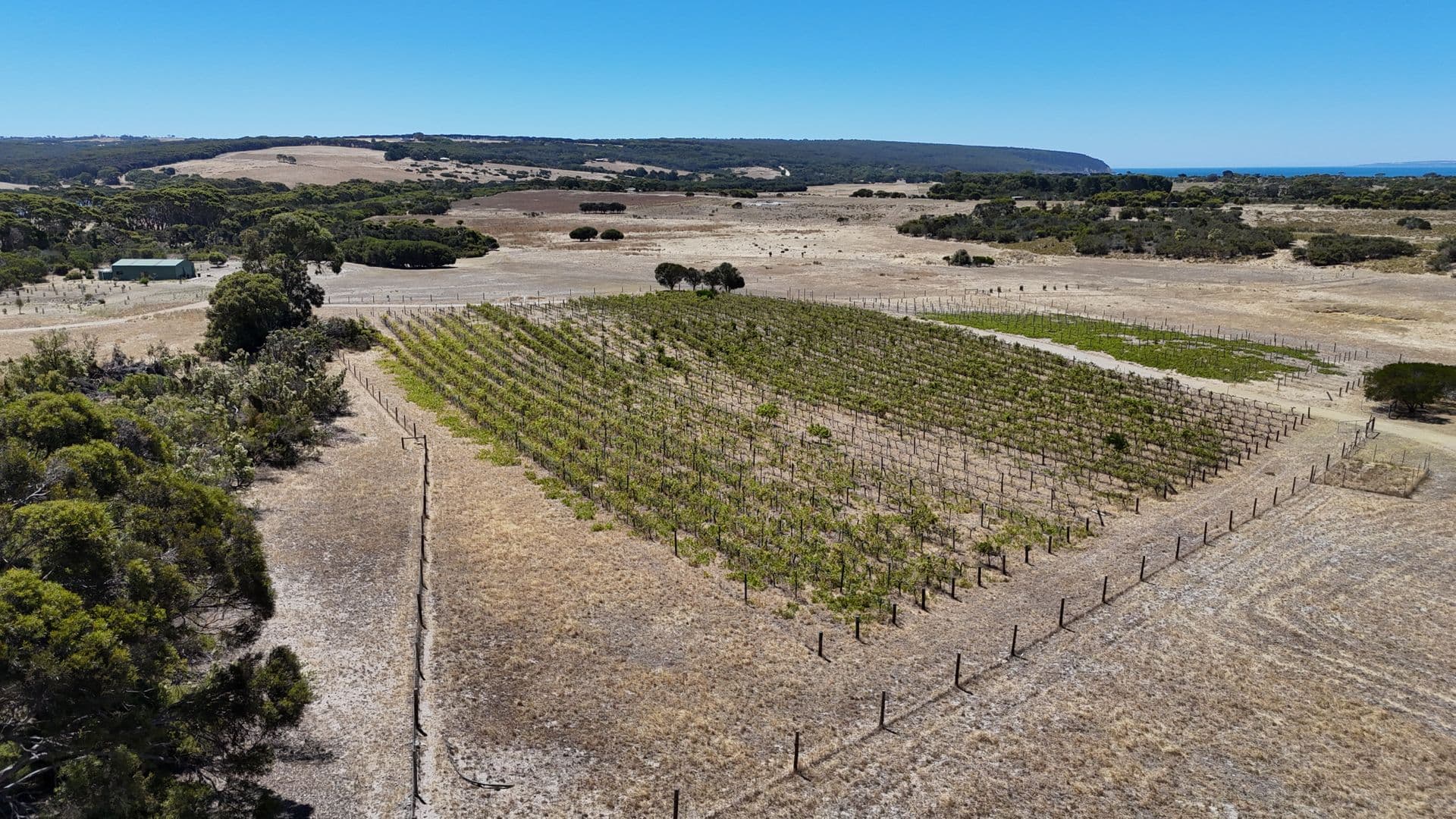 Lot 21 Cape Willoughby Road, Antechamber Bay, SA, 5222, Antechamber Bay - Thumbnail 5