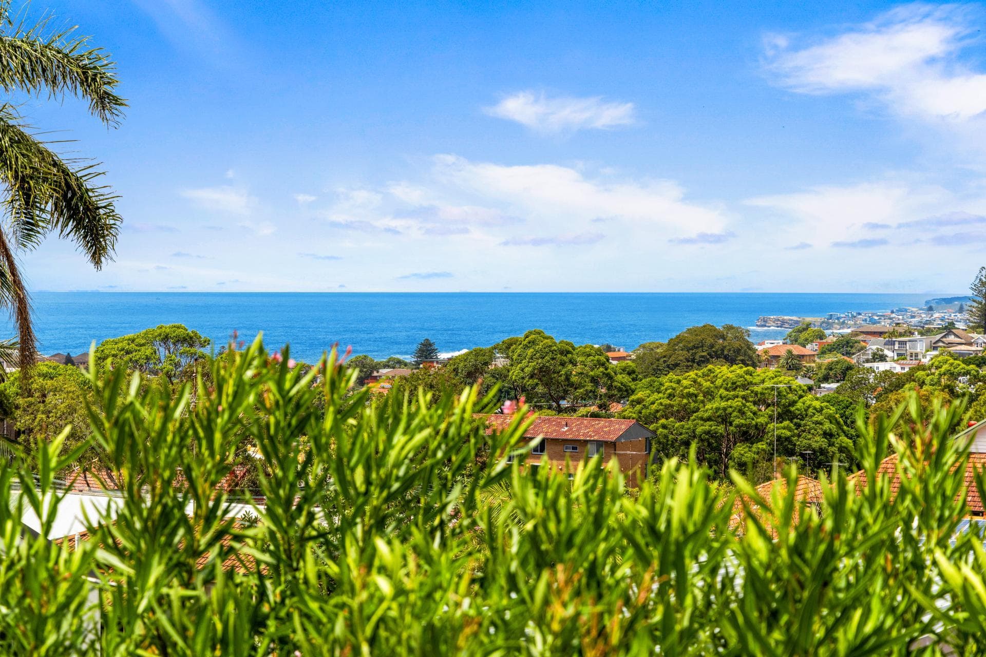 13/7 Leichhardt Street, Waverley, Waverley - Thumbnail 6