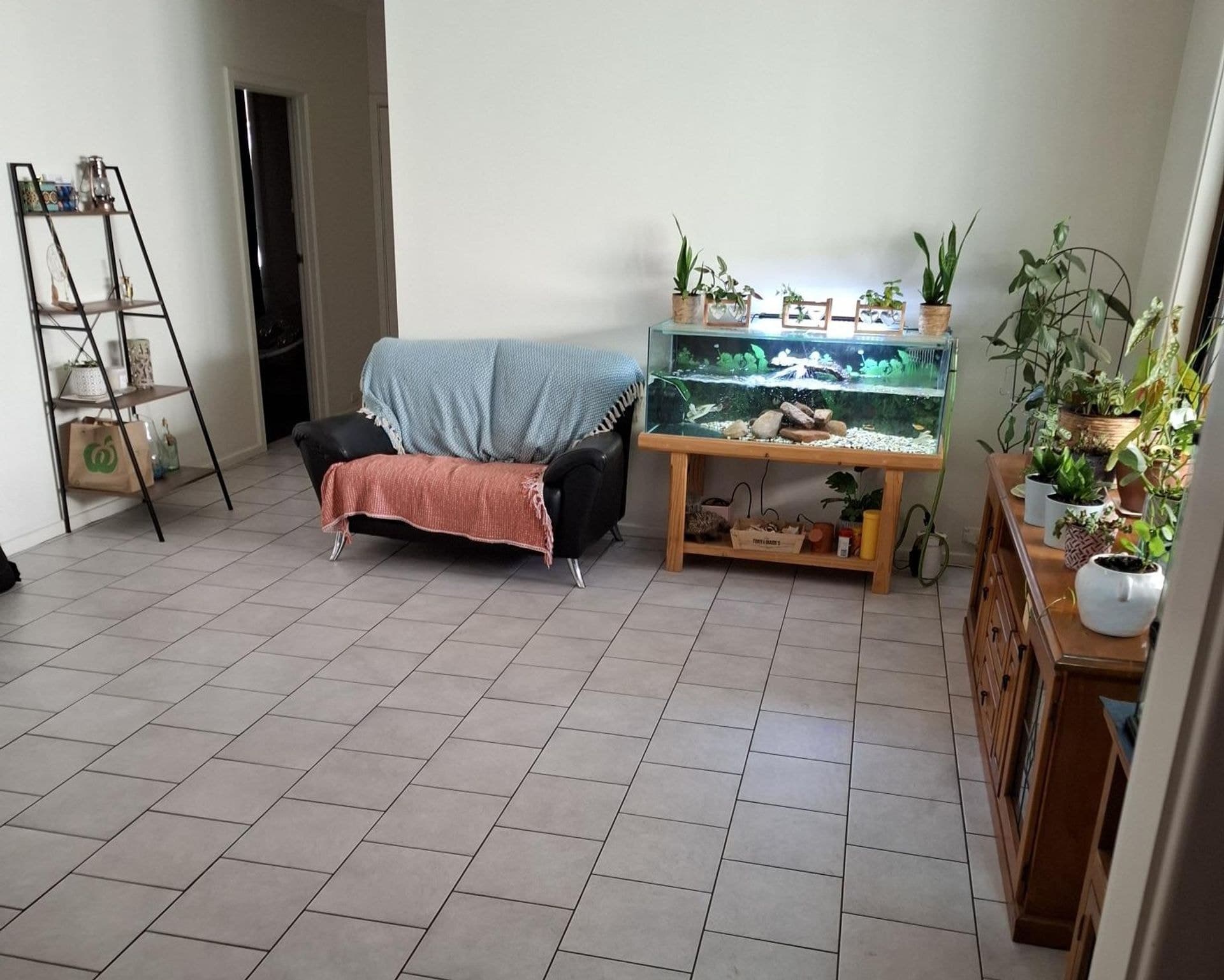 234 The Terrace, Port Pirie, SA, 5540, Port Pirie - Thumbnail 7