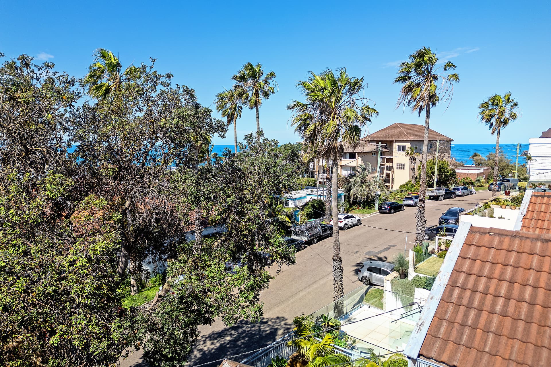 3 Rowland Avenue, Bondi, Bondi - Thumbnail 7