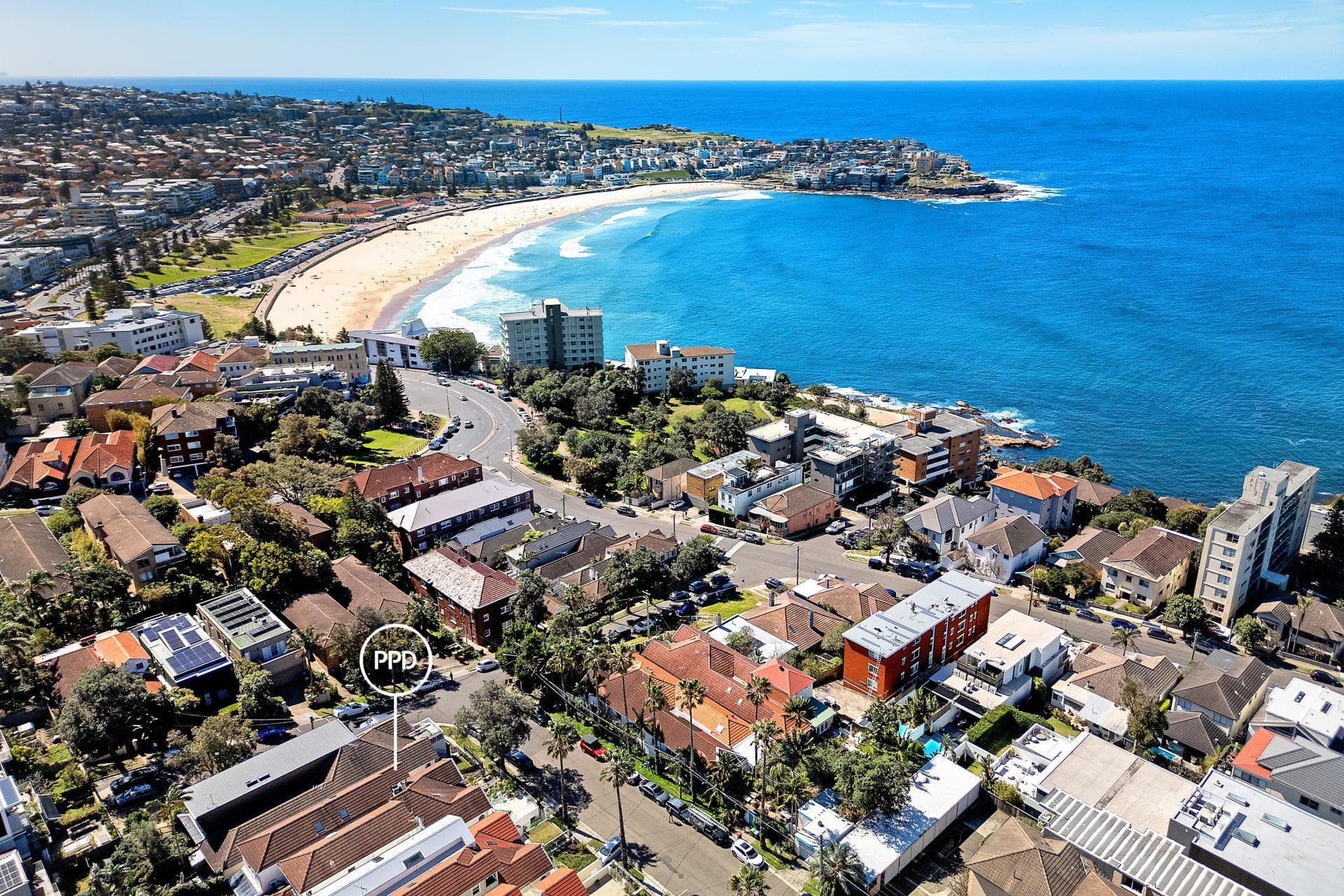 3 Rowland Avenue, Bondi, Bondi - Thumbnail 8