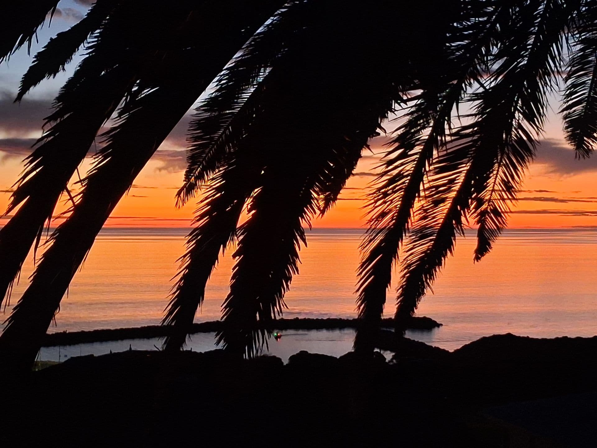 1A Protector Street, O'Sullivan Beach, SA, 5166, O'Sullivan Beach - Thumbnail 6