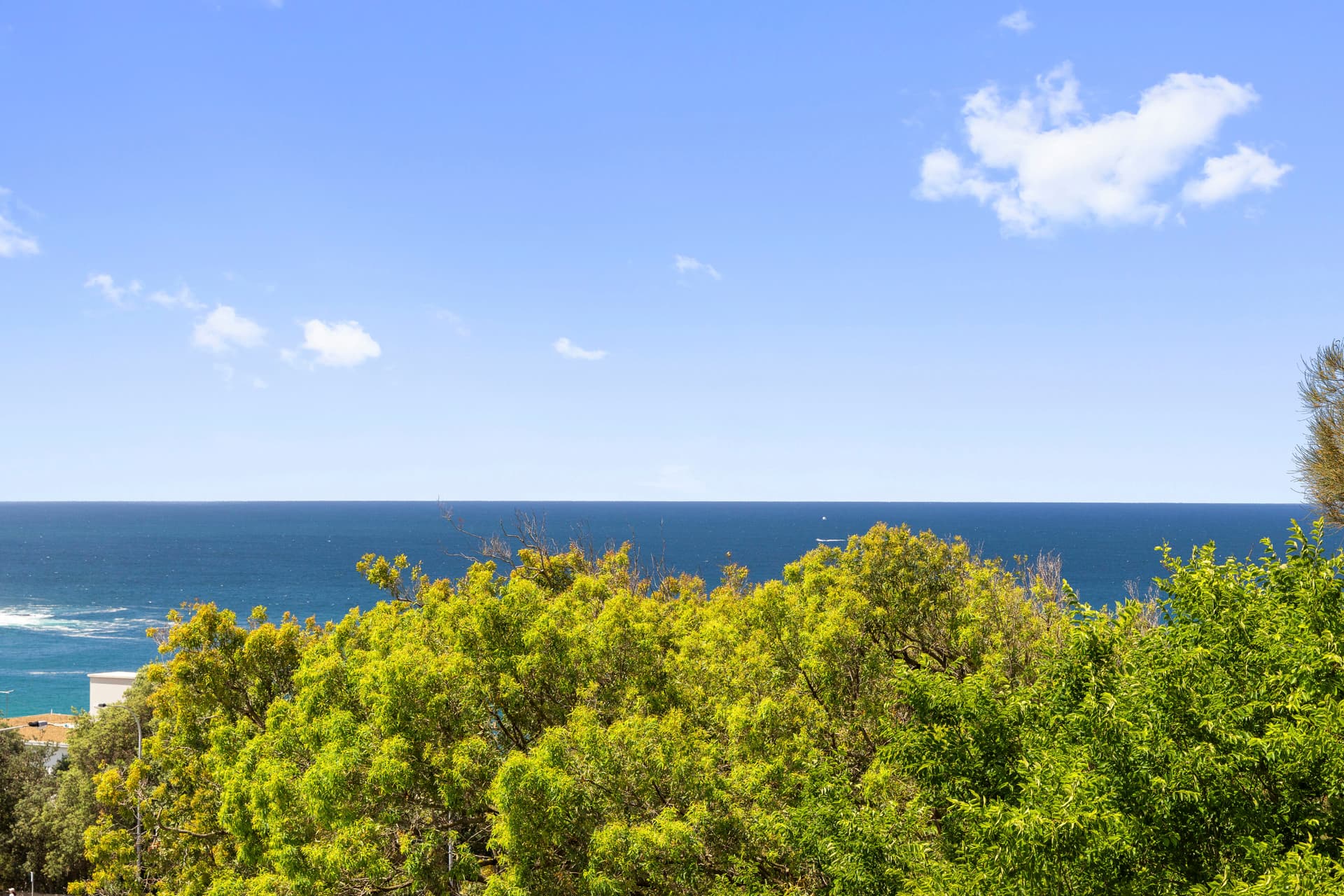 5/329 Bondi Road, Bondi, Bondi - Thumbnail 5