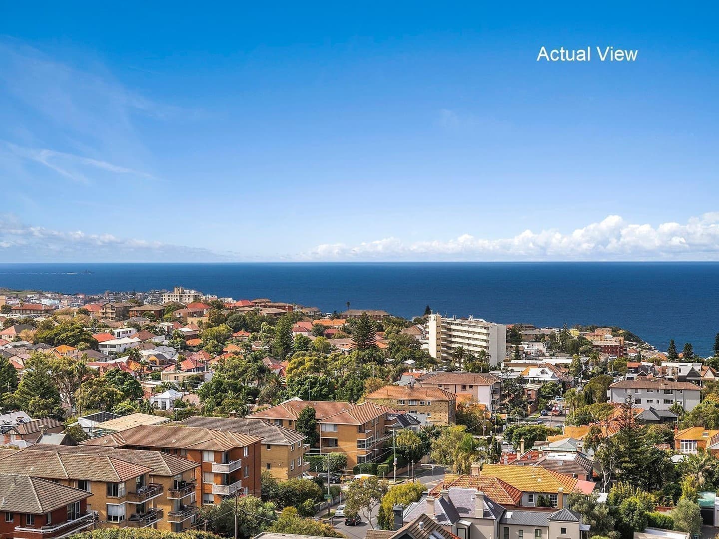 26/205 Birrell Street, Waverley, Waverley - Thumbnail 2