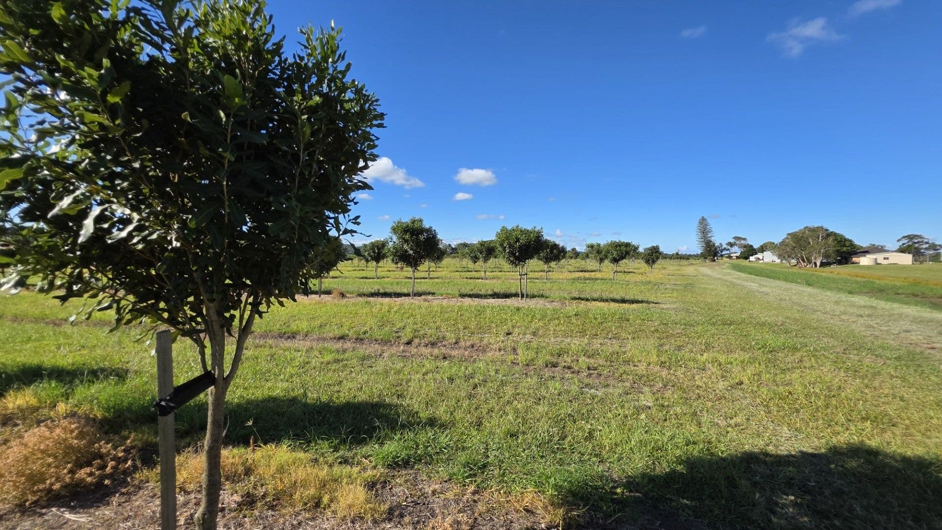 292 Pimlico Road, Pimlico, NSW, 2478, Pimlico - Thumbnail 8