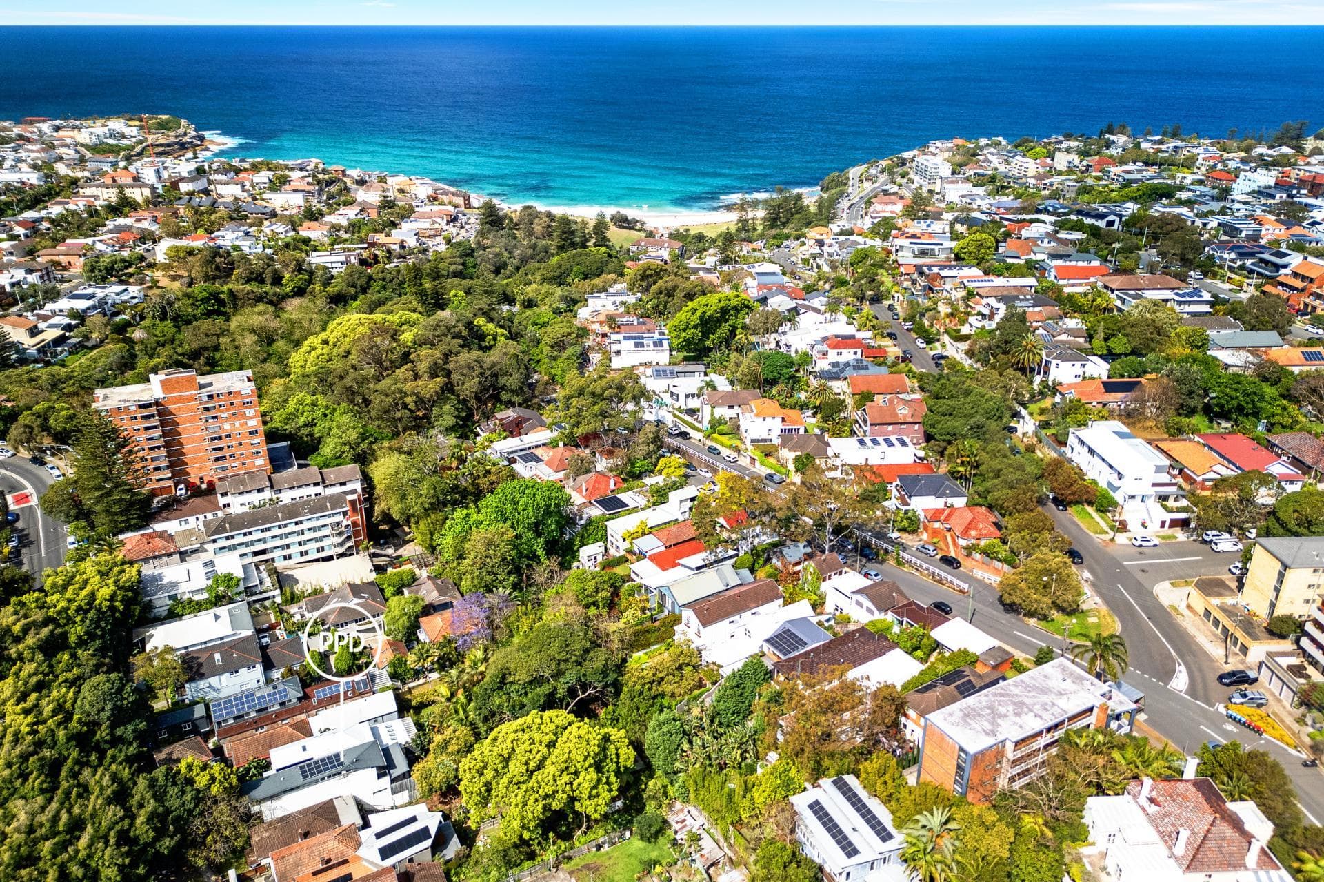 55 McClellands Road, Bucca, Bucca - Thumbnail 5