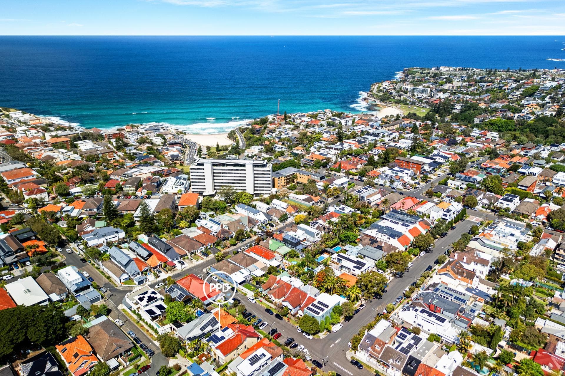 36 Philip Street, Bondi, Bondi - Thumbnail 2