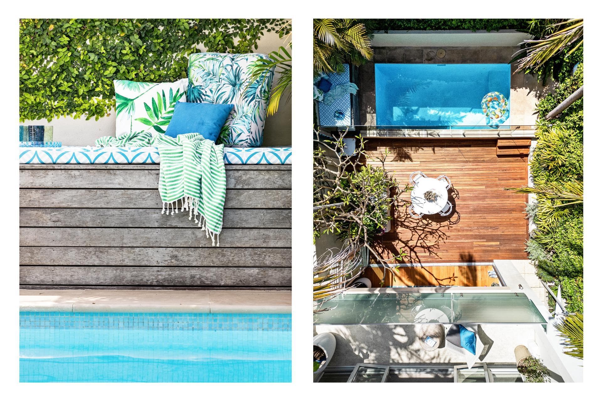 36 Philip Street, Bondi, Bondi - Thumbnail 6
