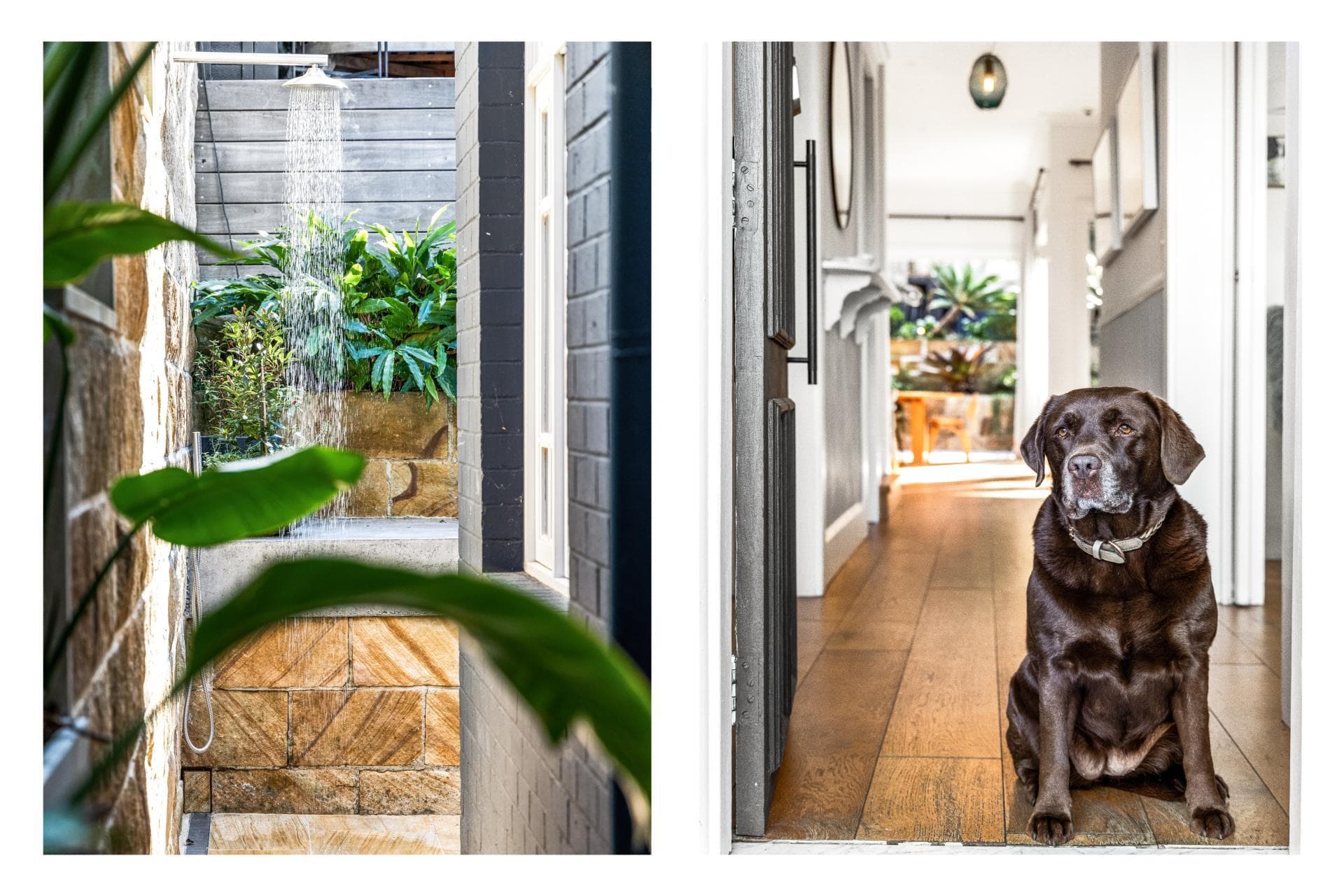 12 Brown Street, Bronte, Bronte - Thumbnail 3