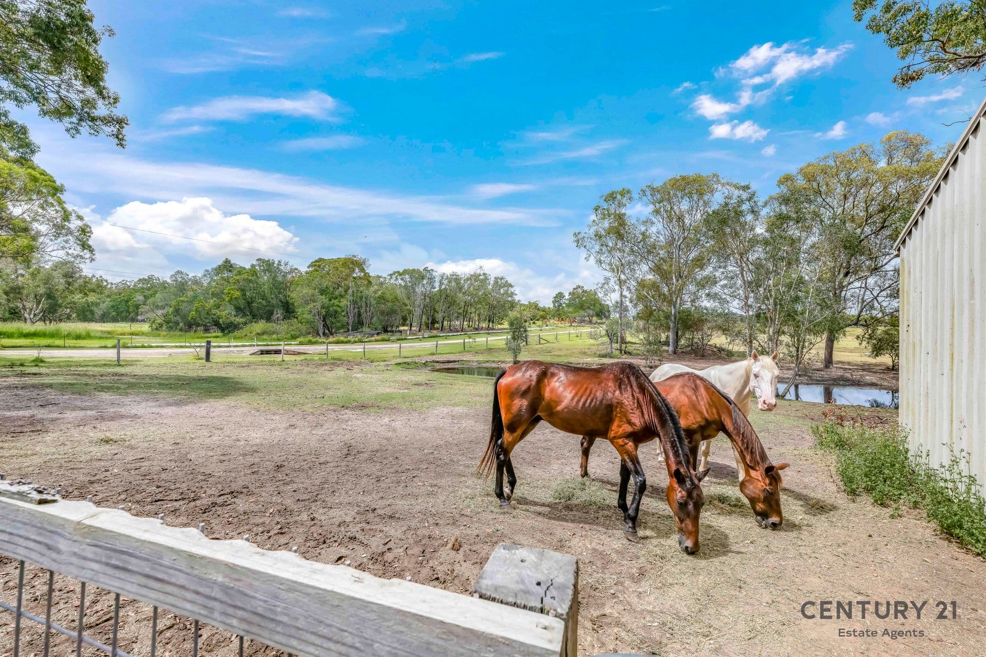 2/14 Heidke St, Bundaberg, QLD, 4670, Bucca - Thumbnail 4