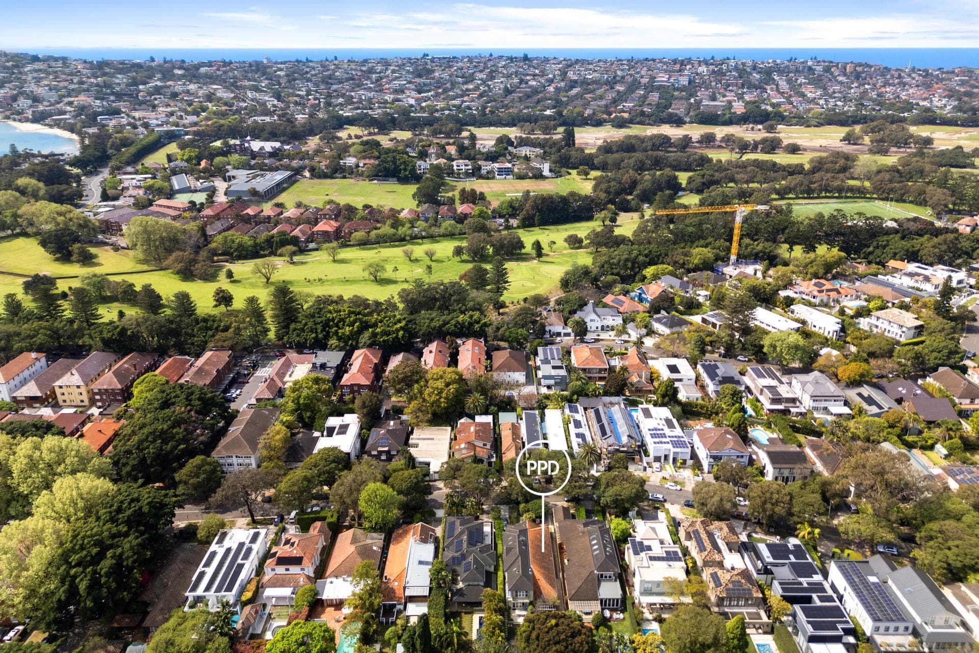 52a Balfour Road, Bellevue Hill, Bellevue Hill - Thumbnail 6