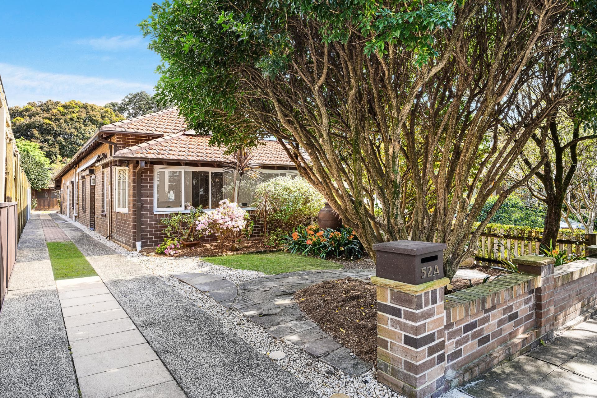 52a Balfour Road, Bellevue Hill, Bellevue Hill - Thumbnail 7