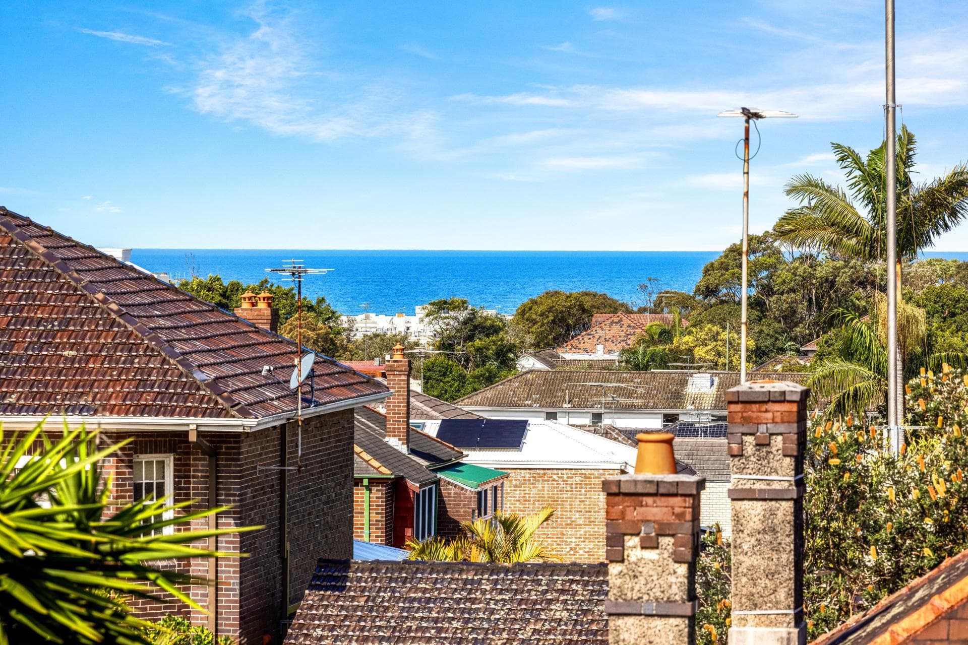 77 Wellington Street, Bondi Beach, Bondi Beach - Thumbnail 8