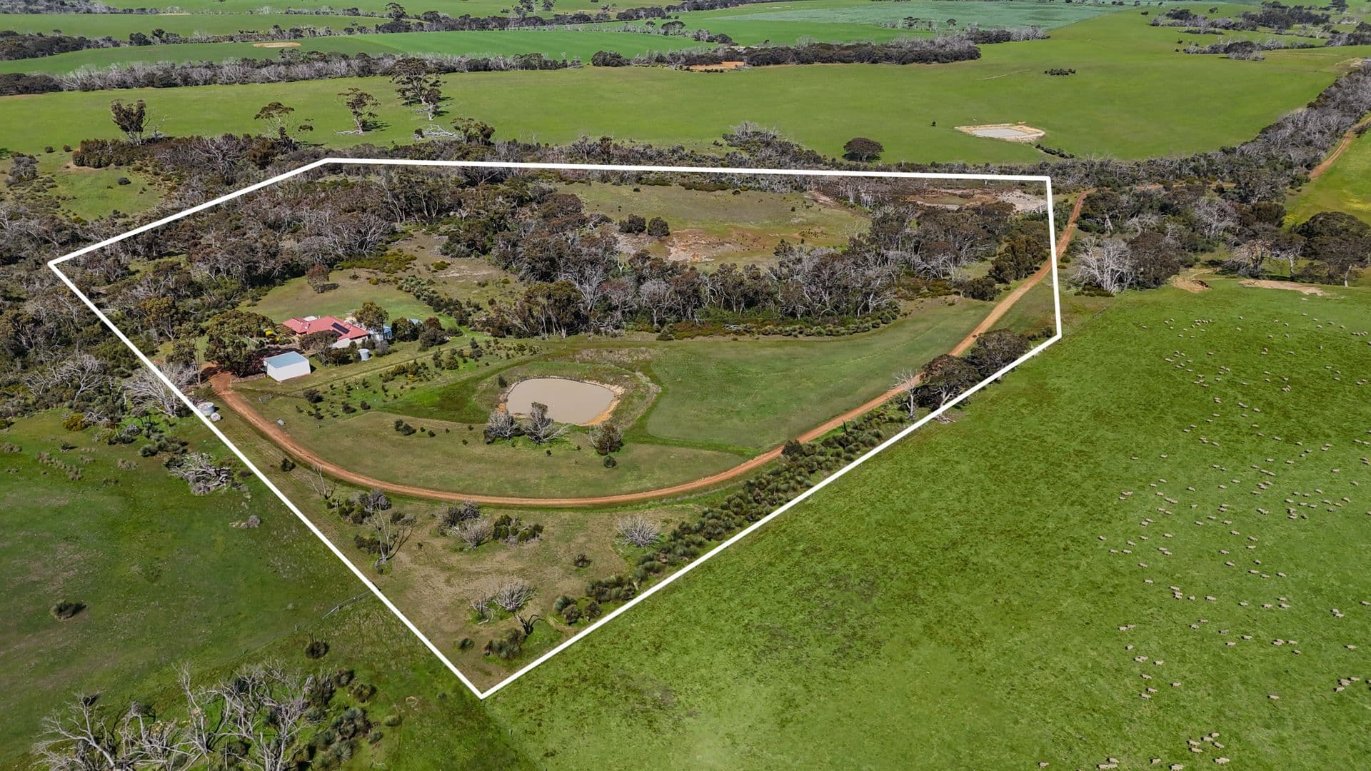 254 Camelback Road, Cassini, SA, 5223, Cassini - Thumbnail 4