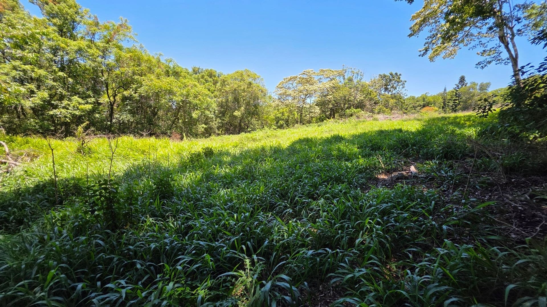 70 North Teven Road, Teven, NSW, 2478, Teven - Thumbnail 6
