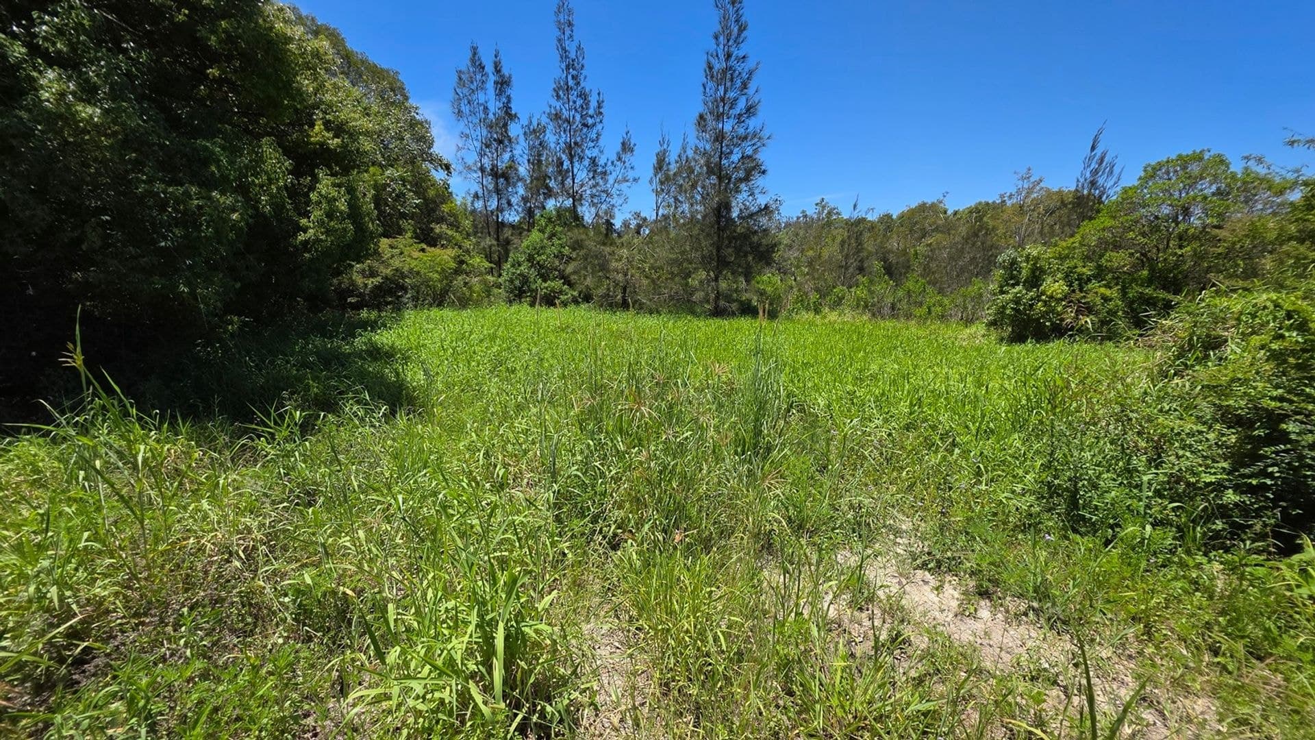70 North Teven Road, Teven, NSW, 2478, Teven - Thumbnail 7