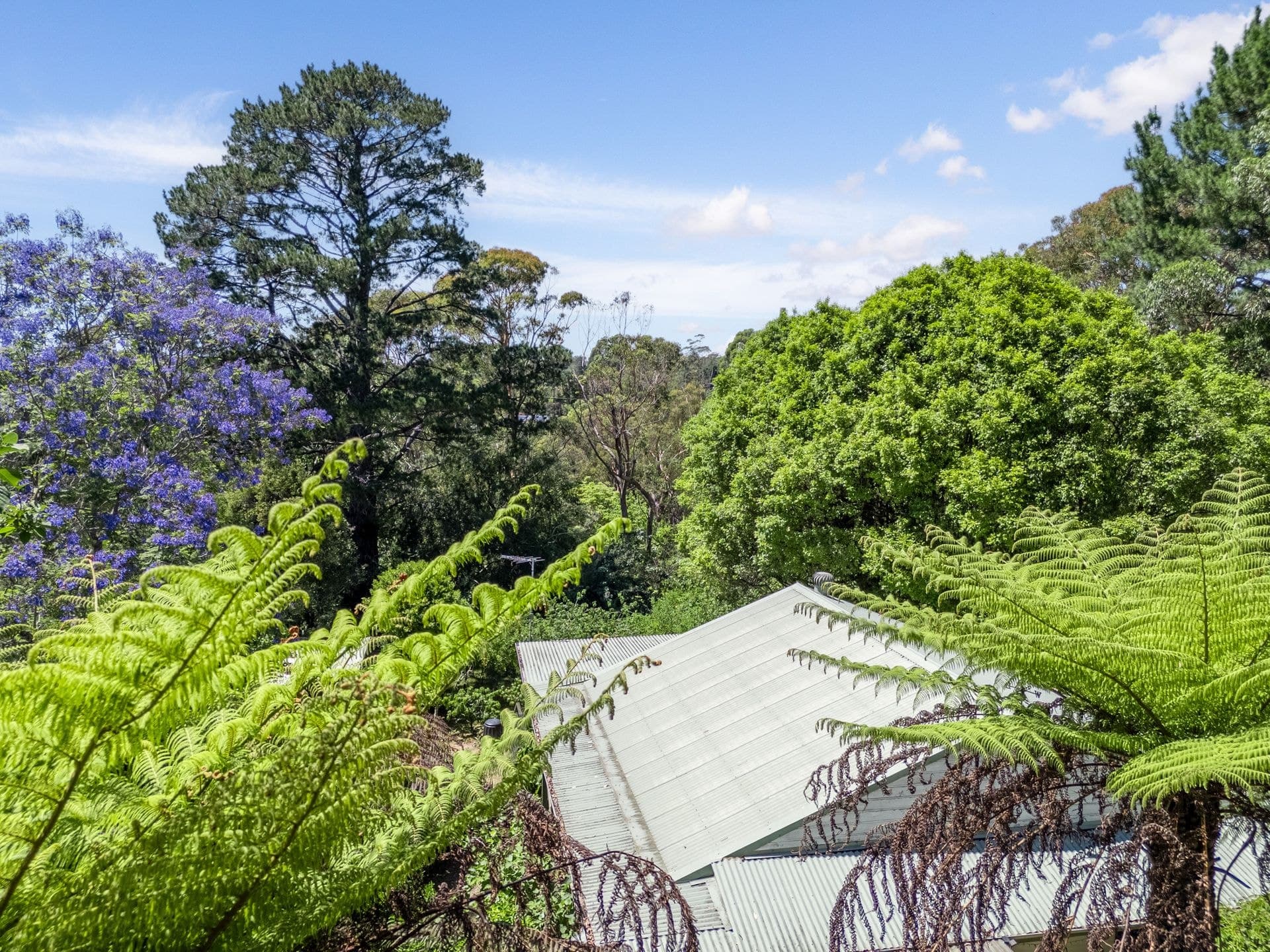79 Winbourne Road, Hazelbrook, NSW, 2779, Hazelbrook - Thumbnail 7
