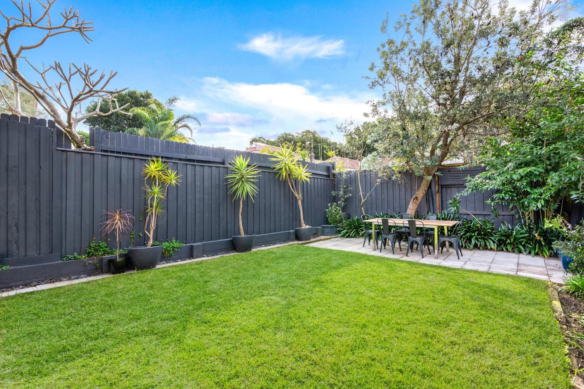 14 Stephen Street, Bondi, Bondi - Thumbnail 5