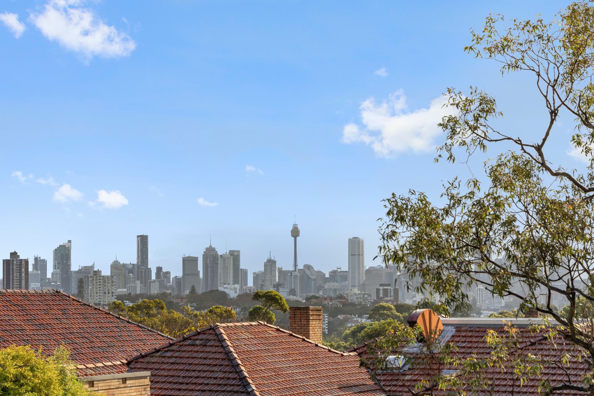 15/165 Victoria  Road, Bellevue Hill, Bellevue Hill - Thumbnail 6