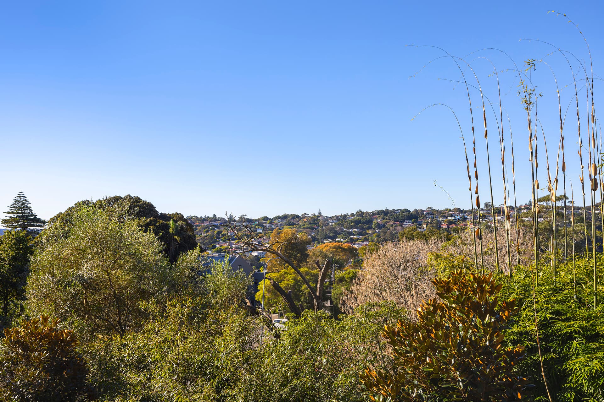 7/29A Nelson Street, Woollahra, Woollahra - Thumbnail 7