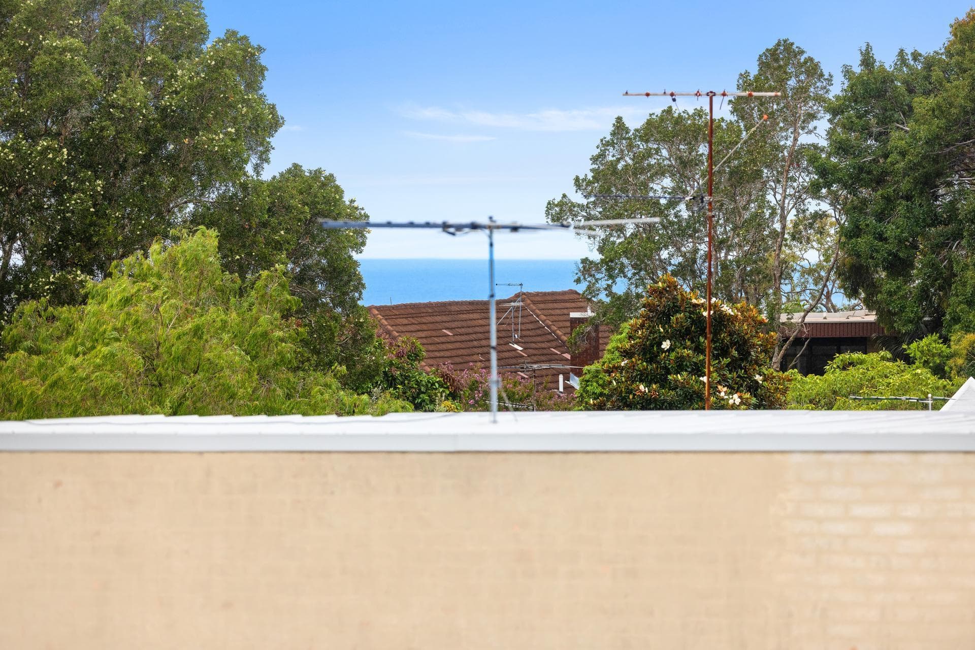 3/8-10 Flood Street, Bondi, Bondi - Thumbnail 2
