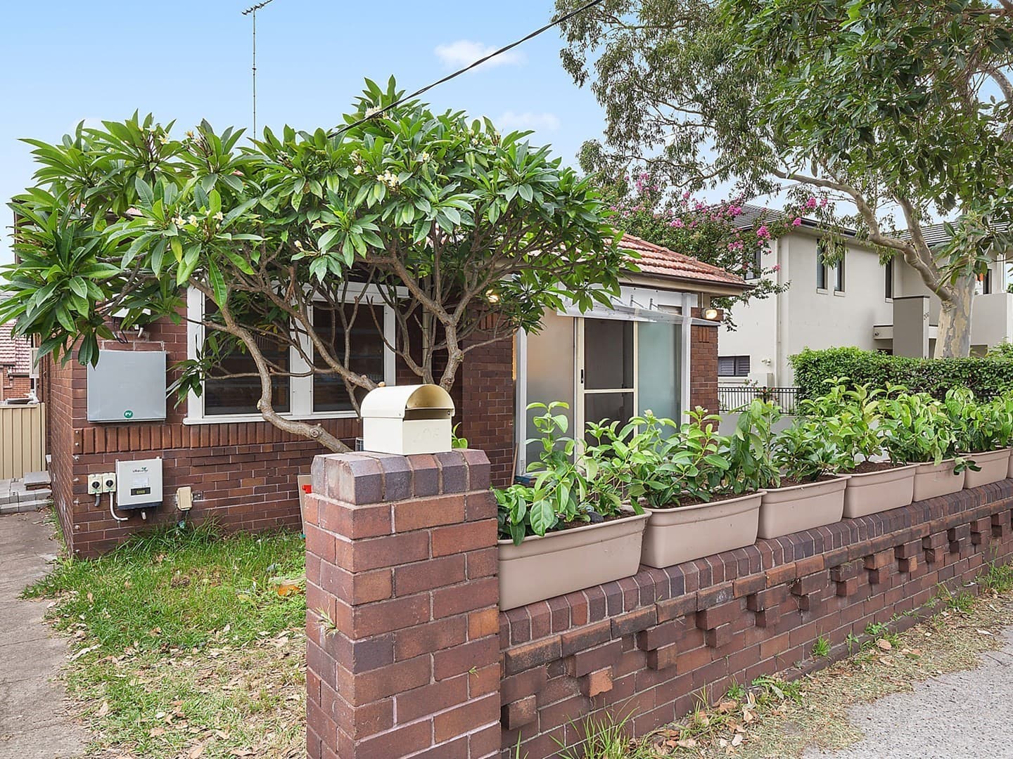208 Barker  Street, Randwick, Randwick - Thumbnail 4