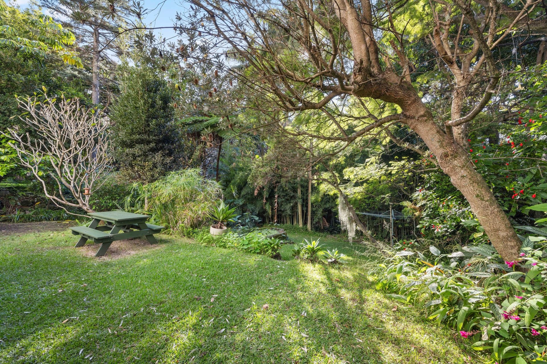 D2/295 Edgecliff Road, Woollahra, Woollahra - Thumbnail 4