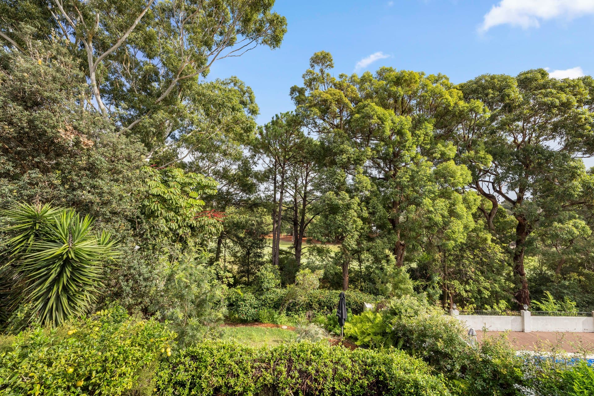 28 Tunstall Avenue, Kensington, Kensington - Thumbnail 3